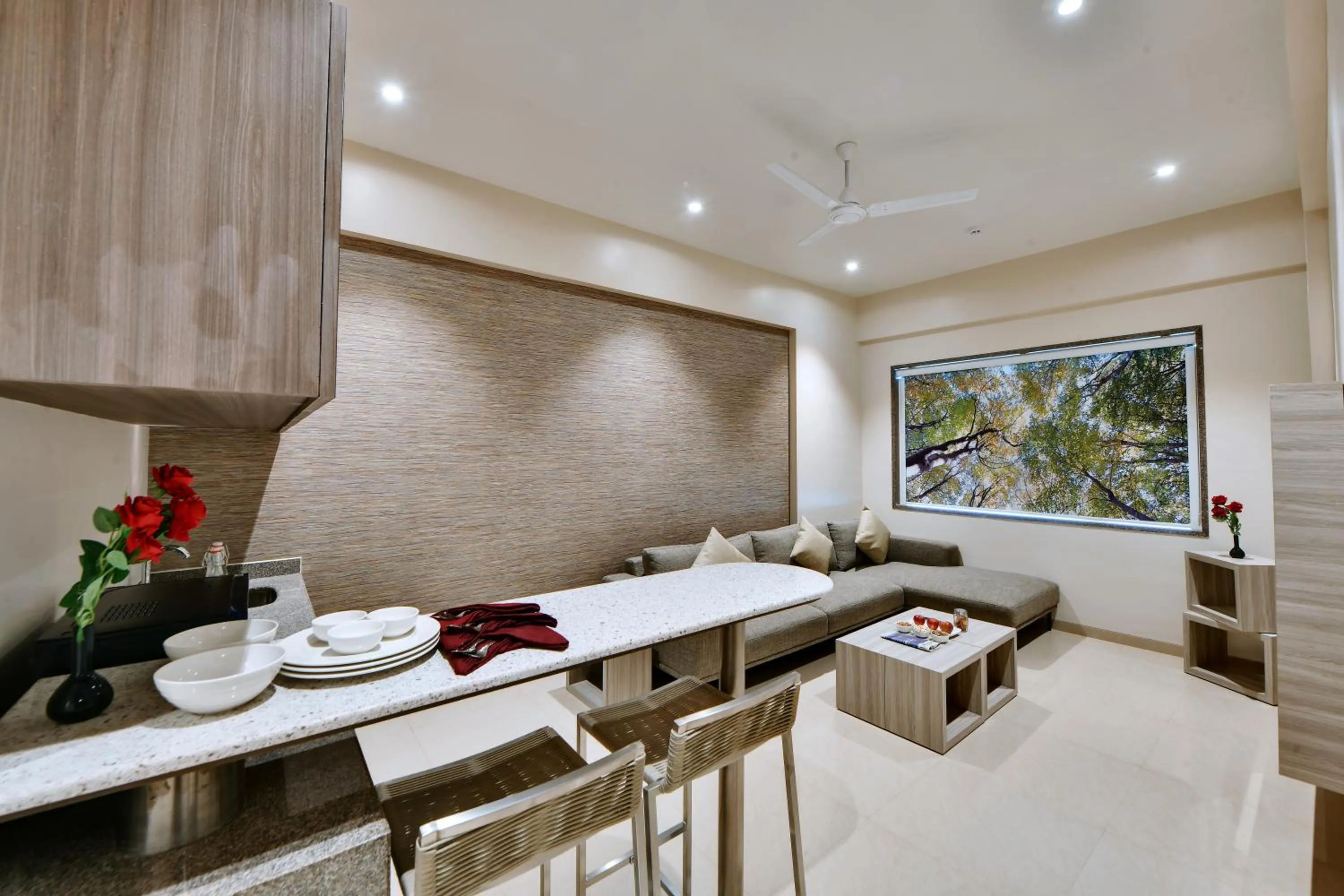 TV and multimedia in Click Hotel Pithampur