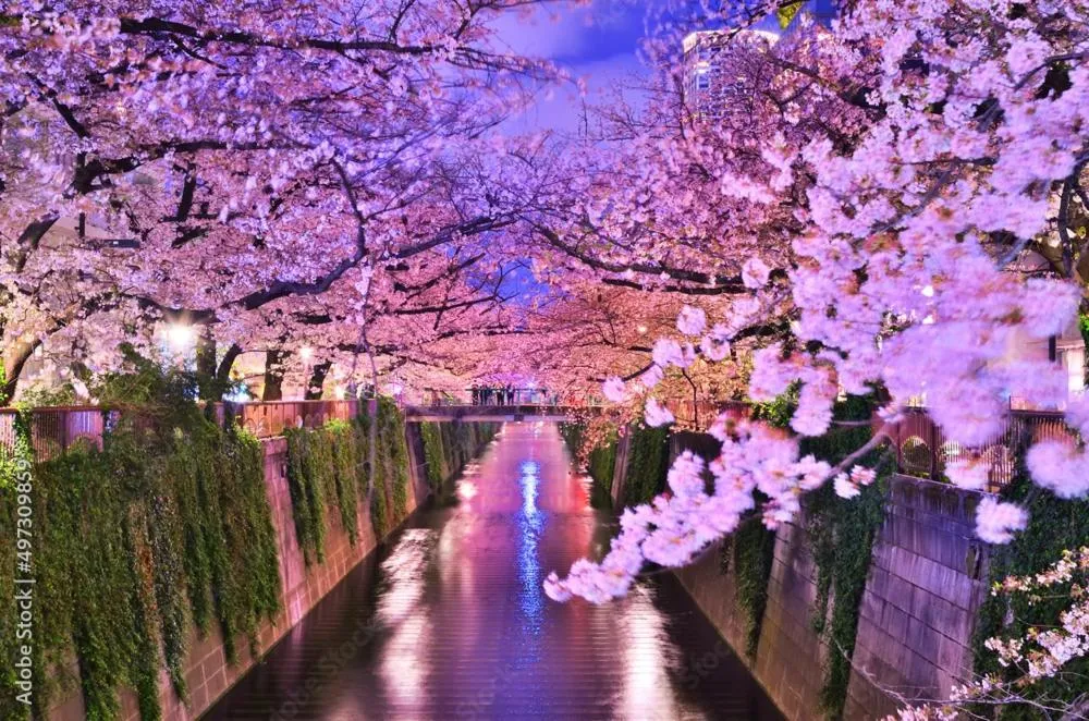 THE BONDS HOTEL TOKYO