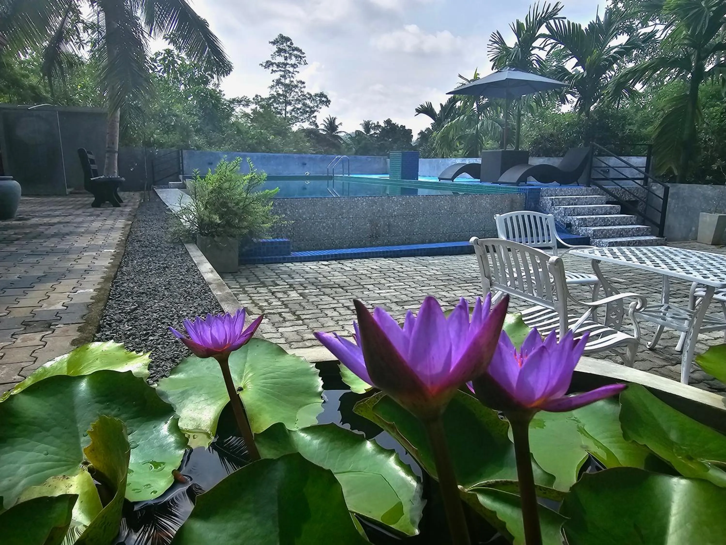 Pool view in Ellakanda Nature Villa