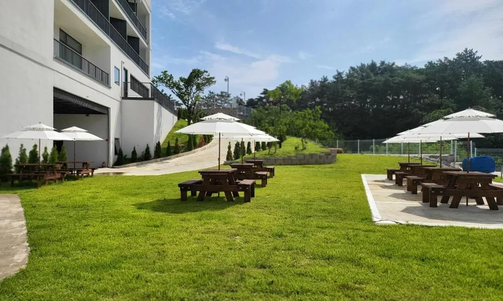 Natural landscape in Hillsnorkelbeach hotel