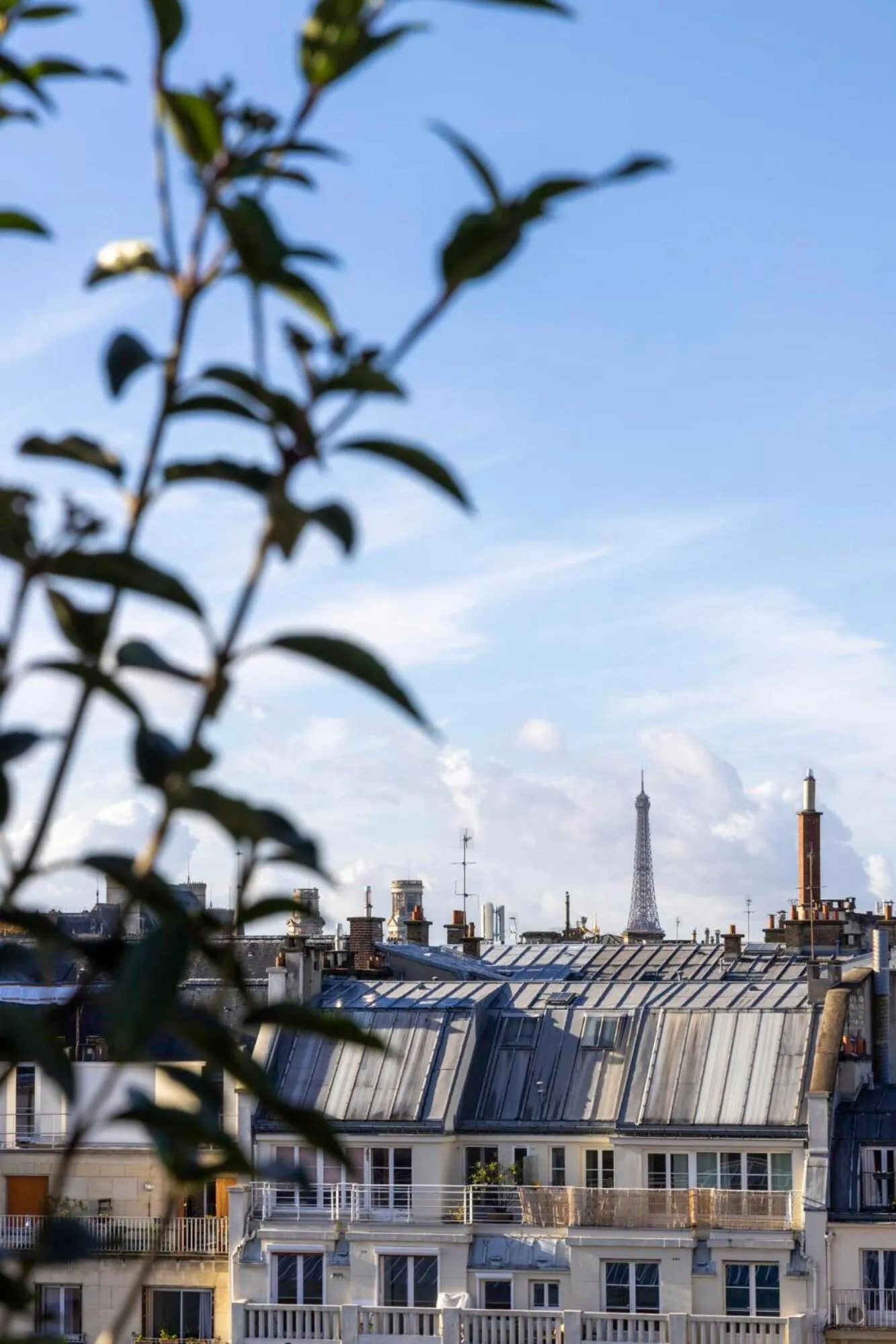 City view in Hôtel Pilgrim