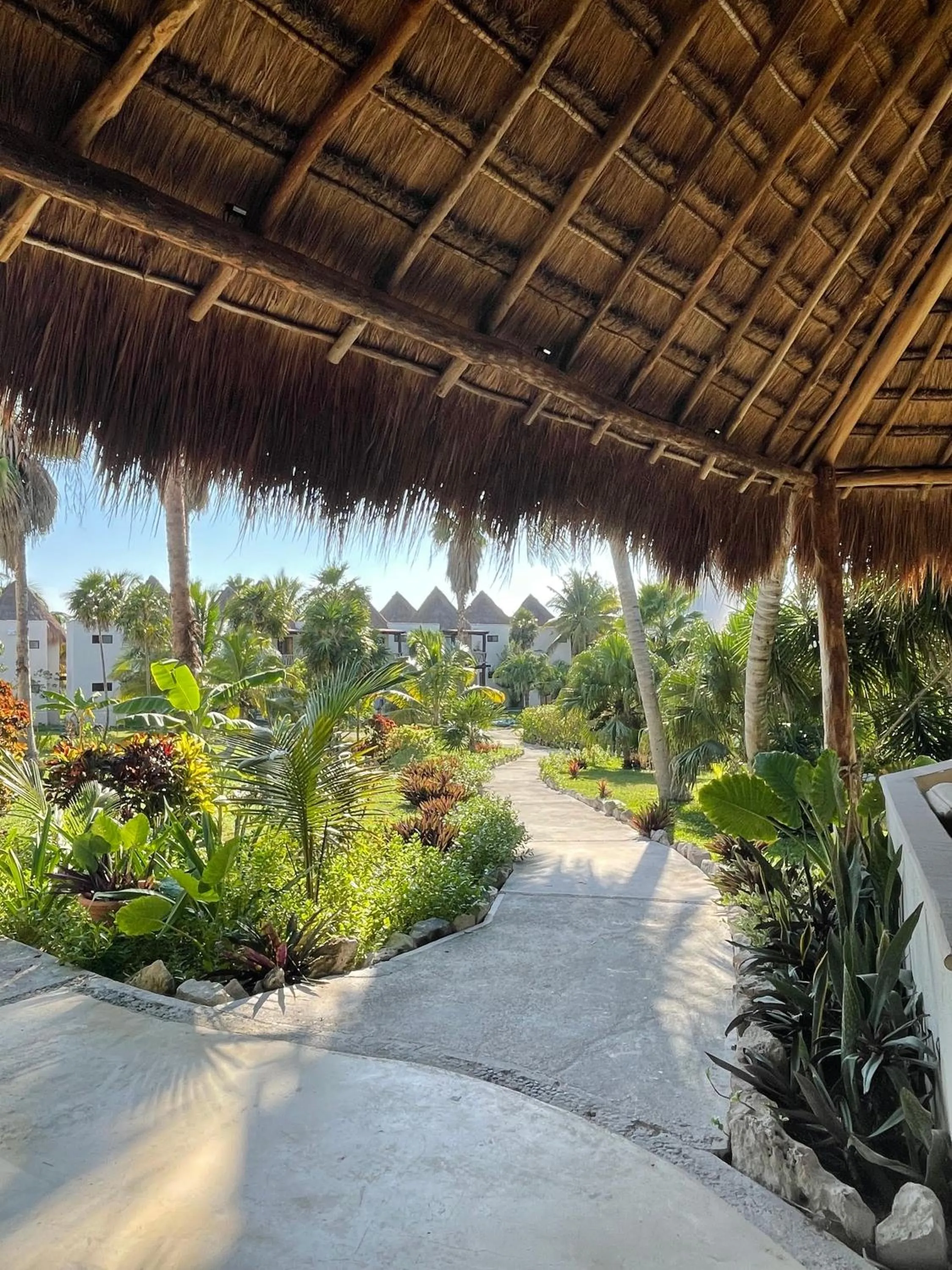 Garden in VR CLUB Tulum Riviera