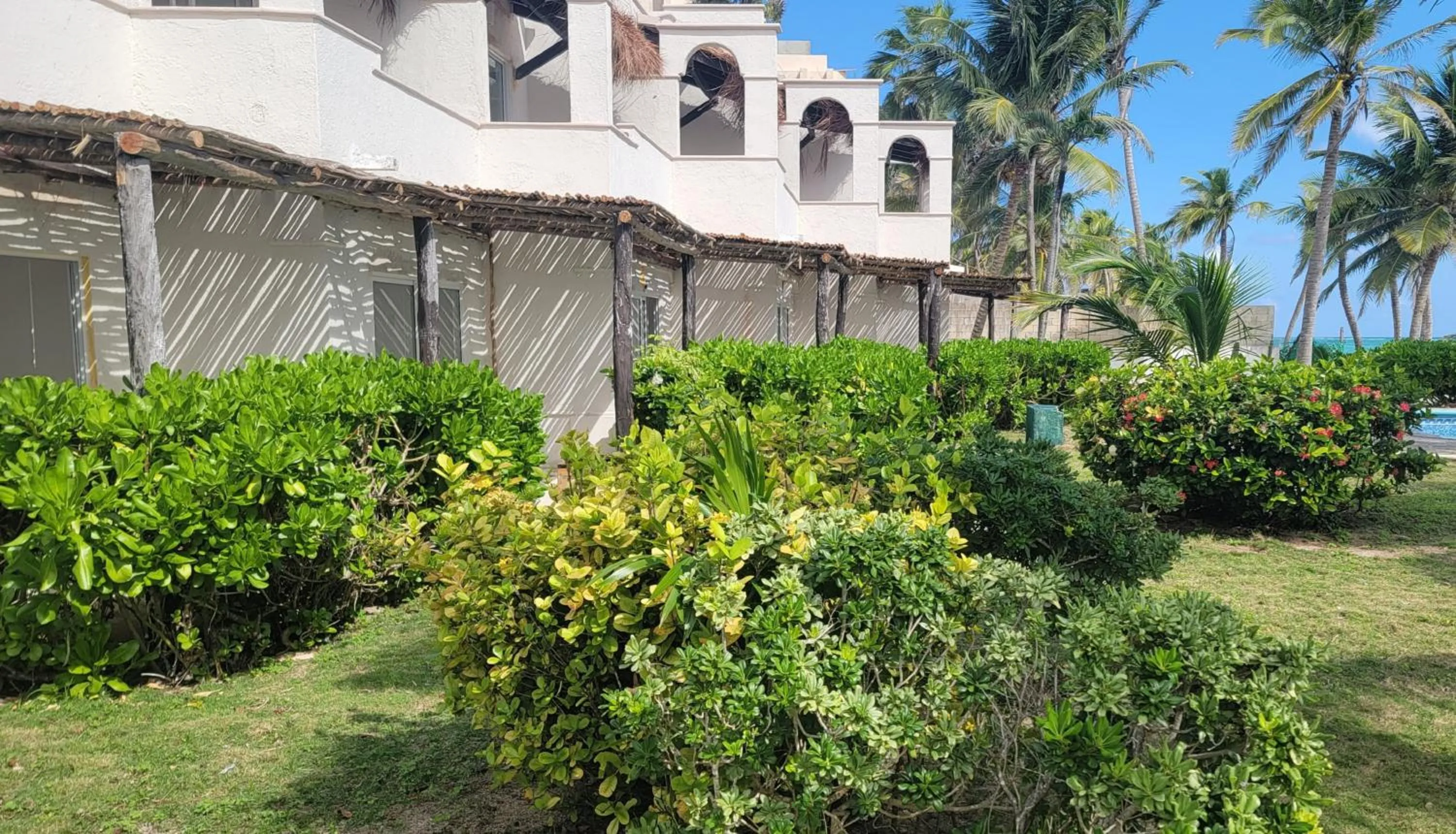 Garden in VR CLUB Tulum Riviera