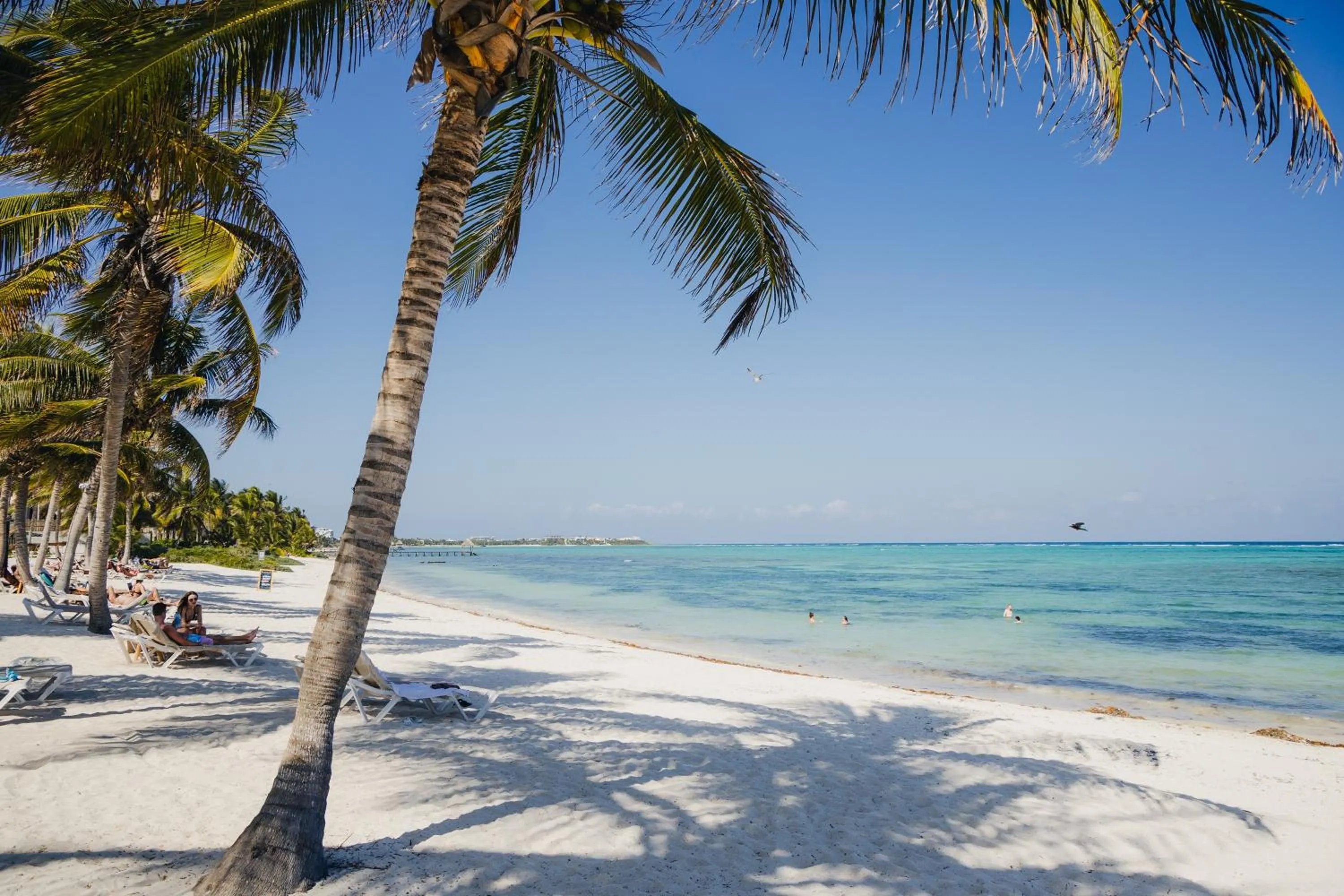 Natural landscape in VR CLUB Tulum Riviera