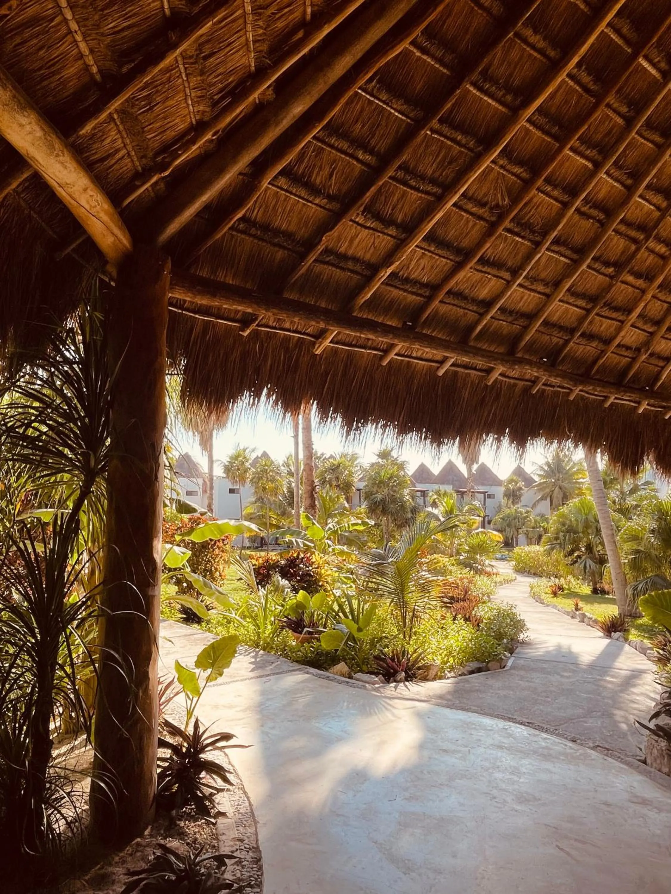 Natural landscape in VR CLUB Tulum Riviera