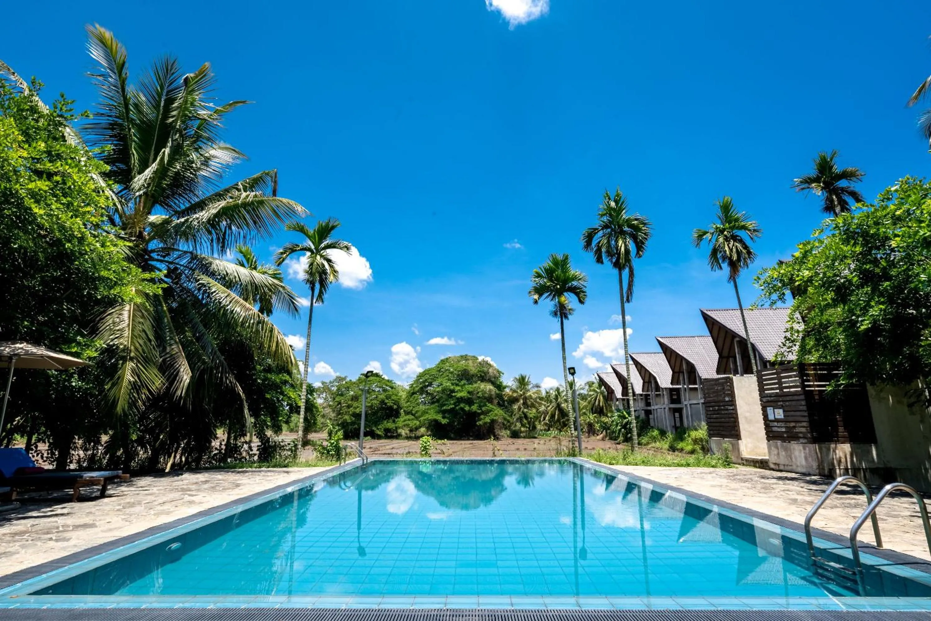 Natural landscape in Lavendish Wild Wilpattu