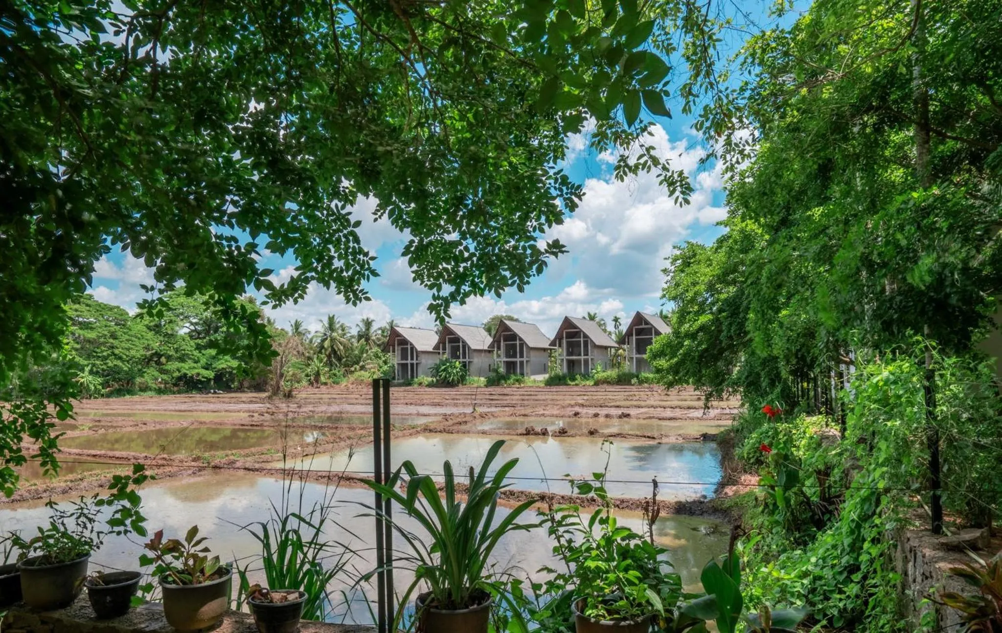 Natural landscape in Lavendish Wild Wilpattu