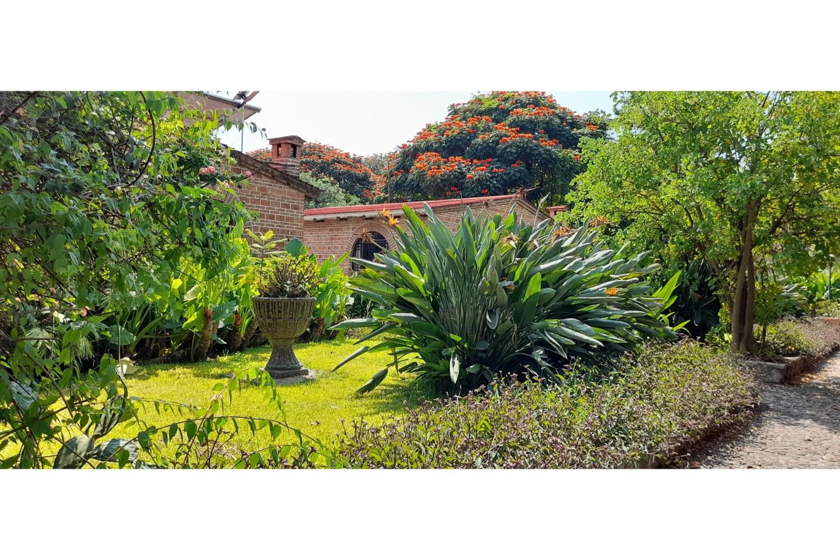 Garden in Capital O Posada Del Pescador Jocotepec