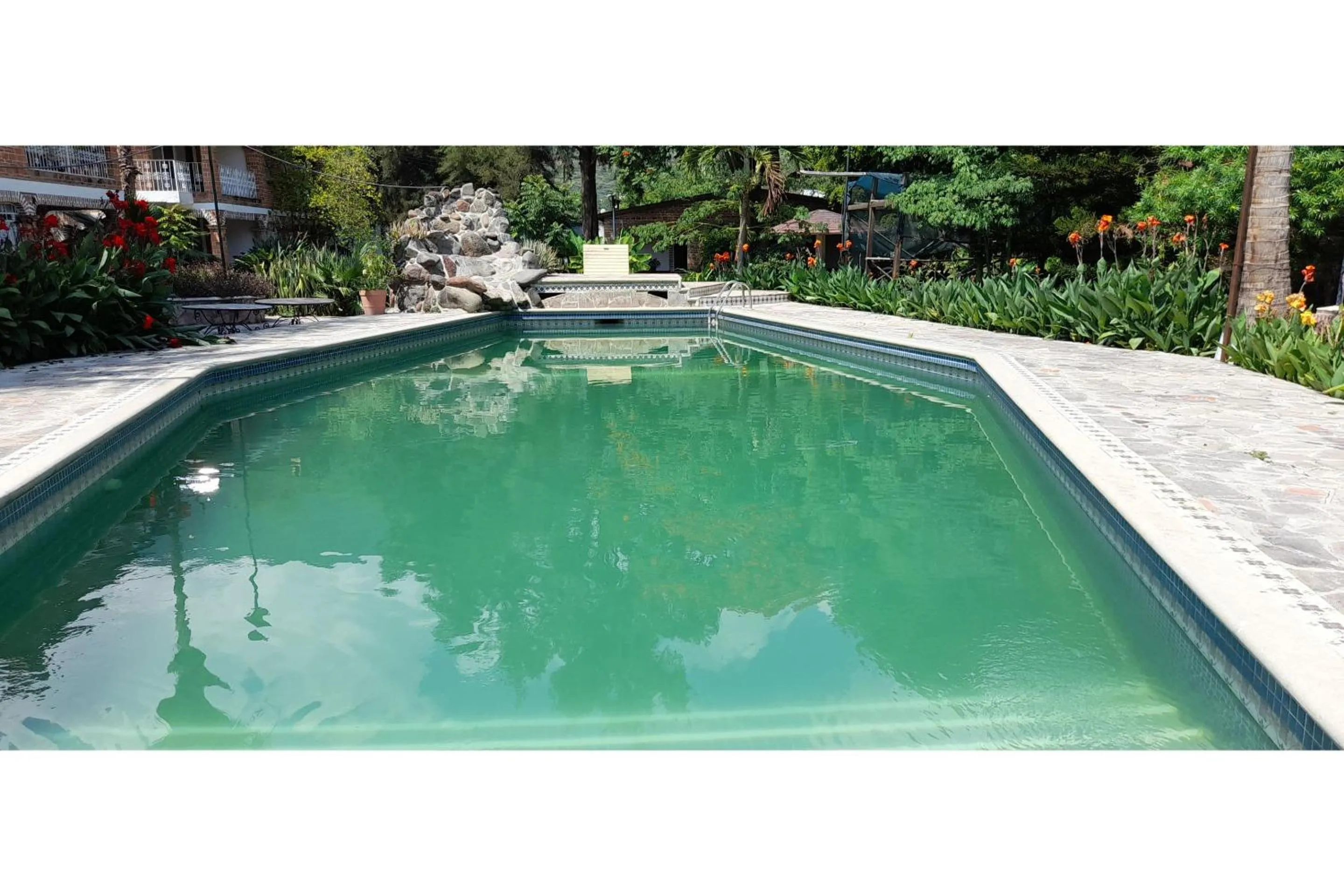 Swimming pool in Capital O Posada Del Pescador Jocotepec