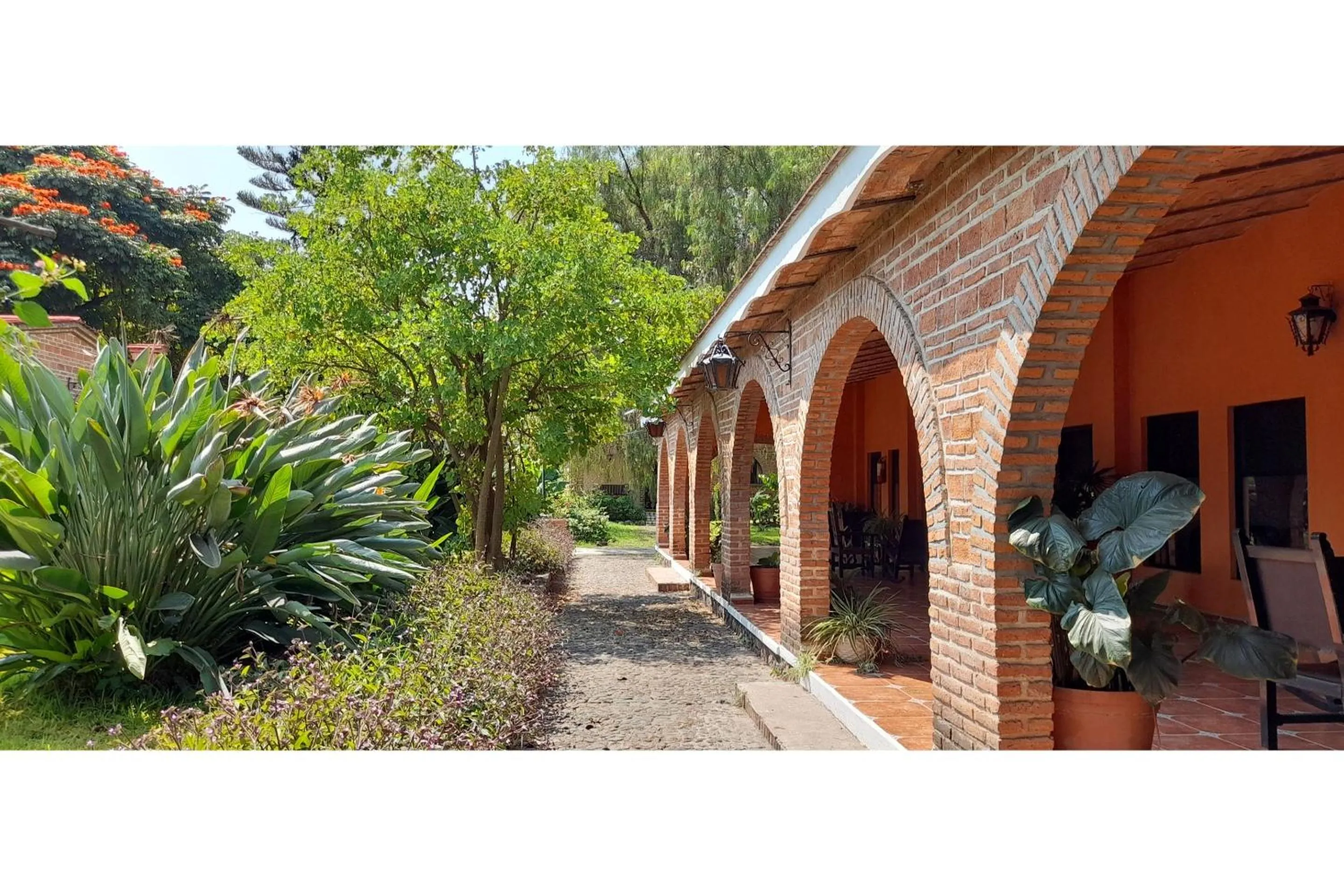 Garden in Capital O Posada Del Pescador Jocotepec