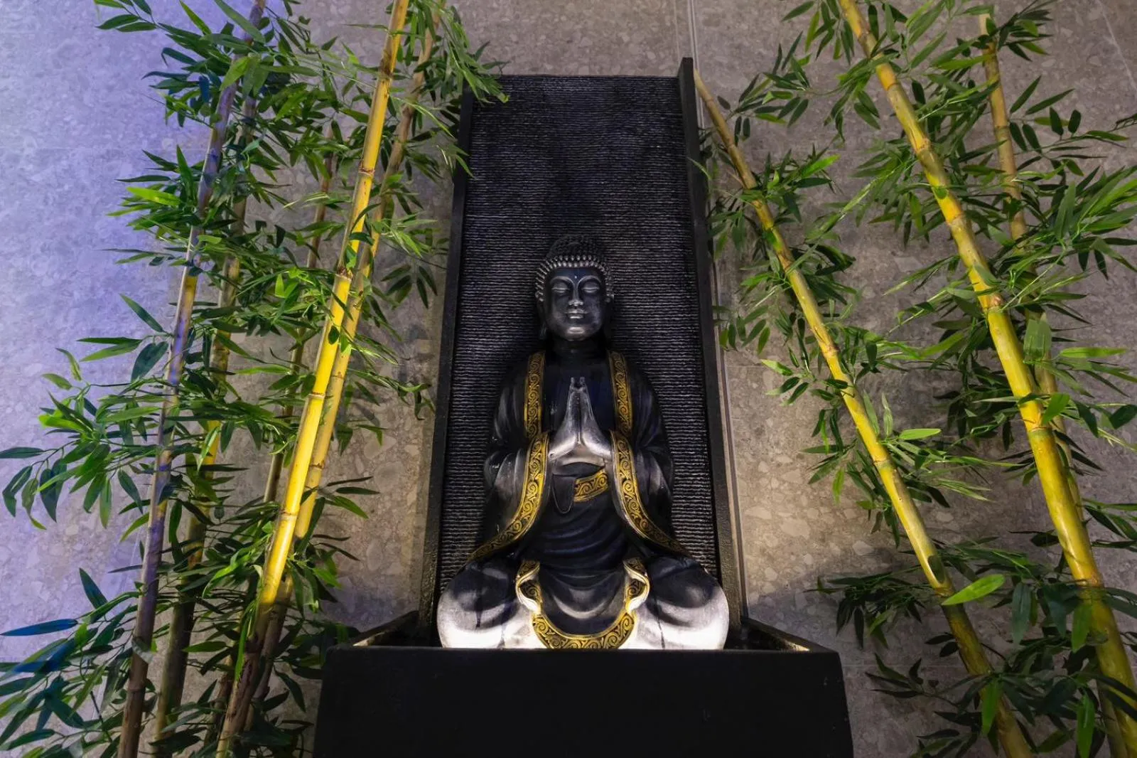 Spa and wellness centre/facilities in Destiny Hotel & SPA