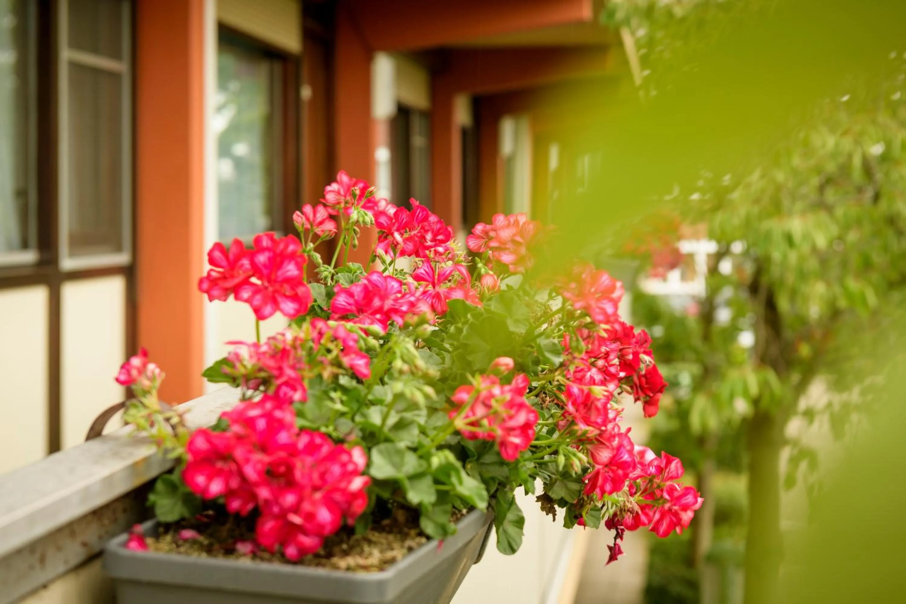 Balcony/Terrace in Campanile Hotel & Restaurant Rotterdam Oost