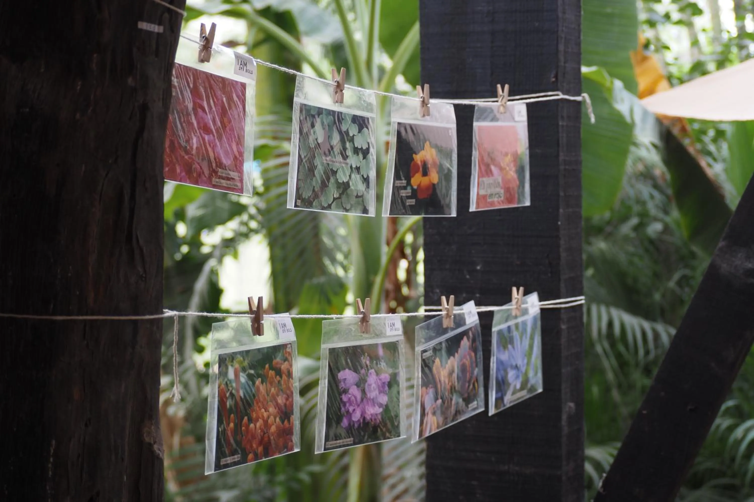 Activities in El Refugio de Sayulita - Solo Adultos