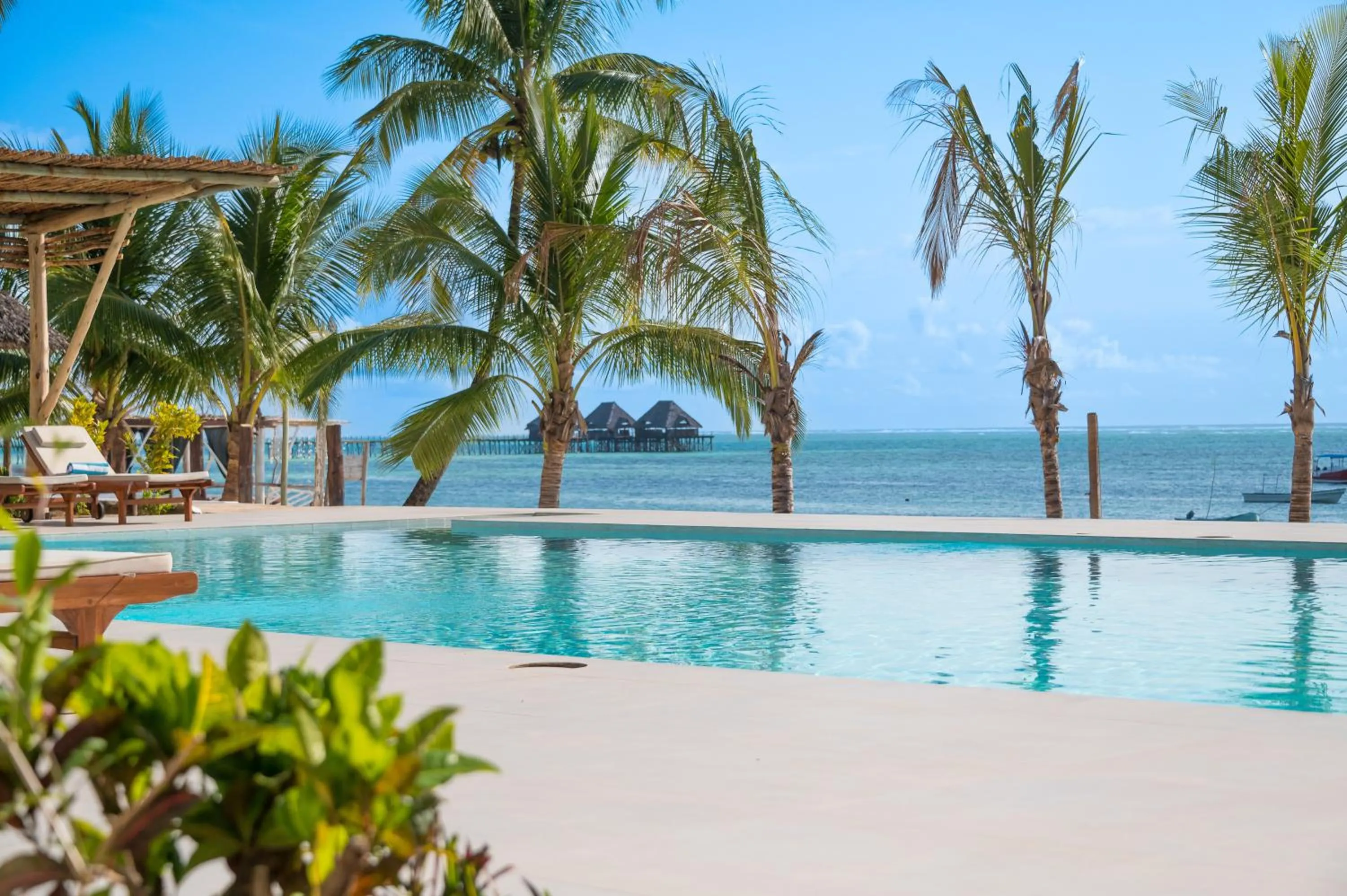 Swimming pool in Ocean Boutique Hotel - Adults only