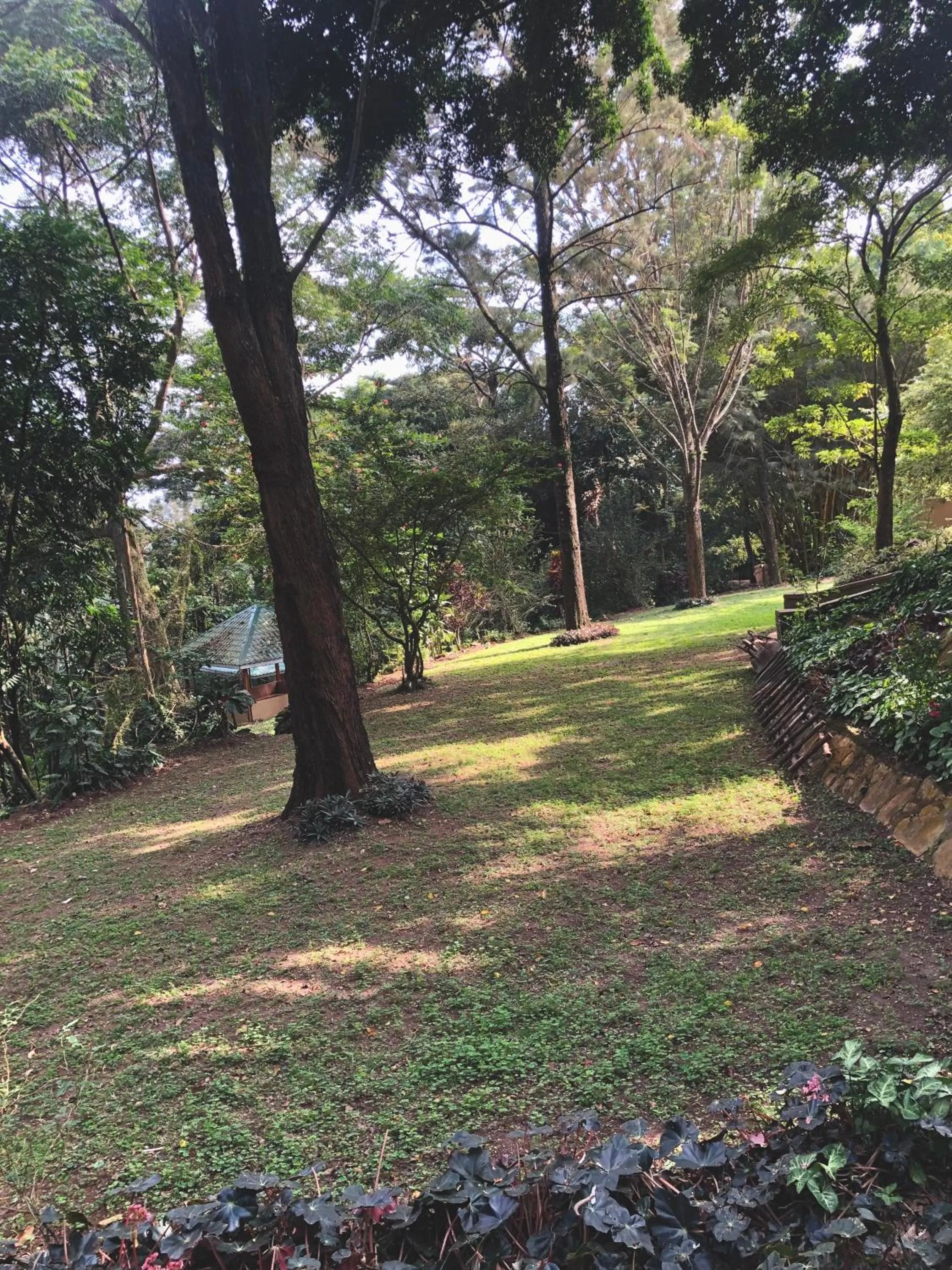 Garden in The Address Resort