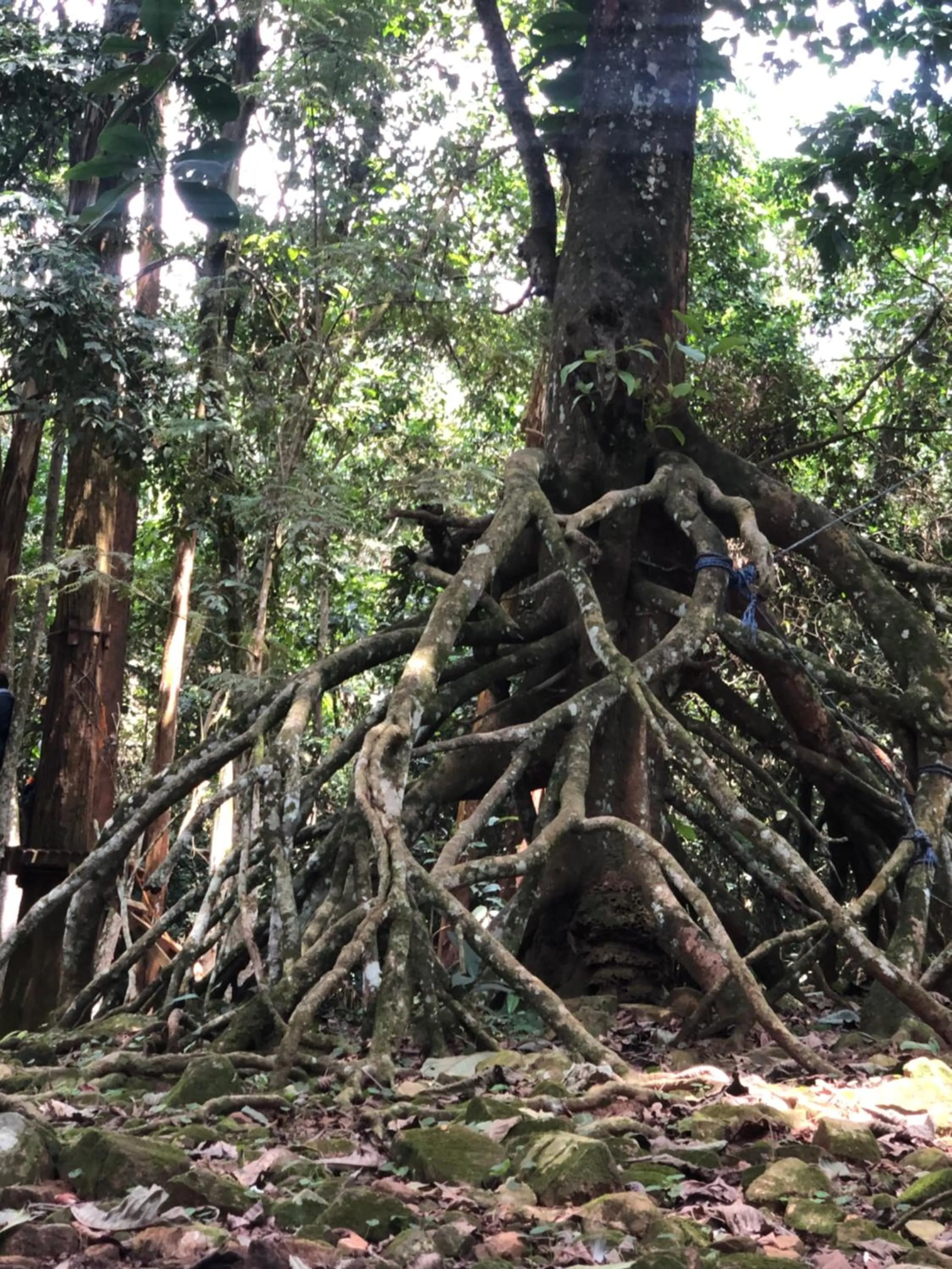 Natural landscape in The Address Resort