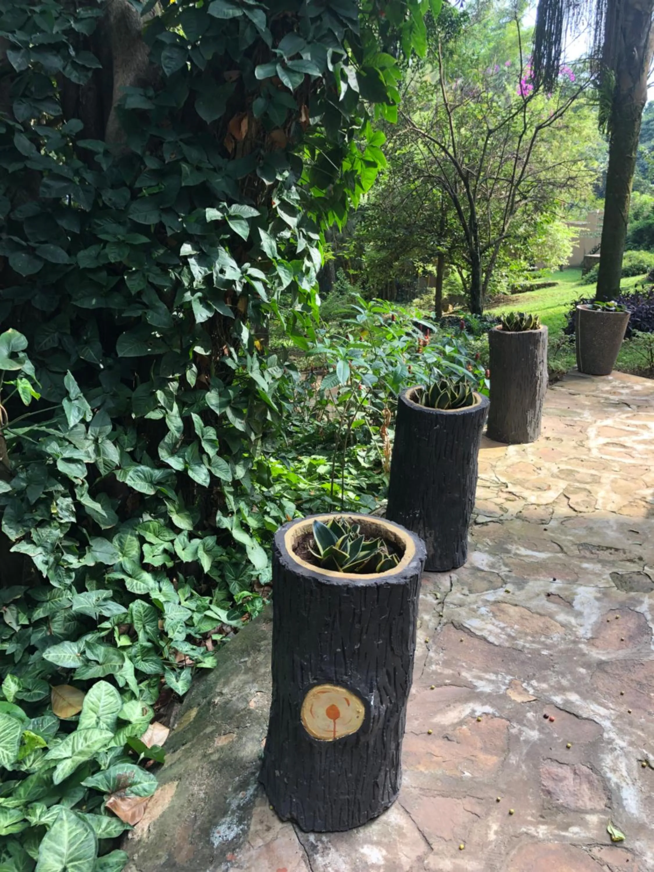 Garden view in The Address Resort