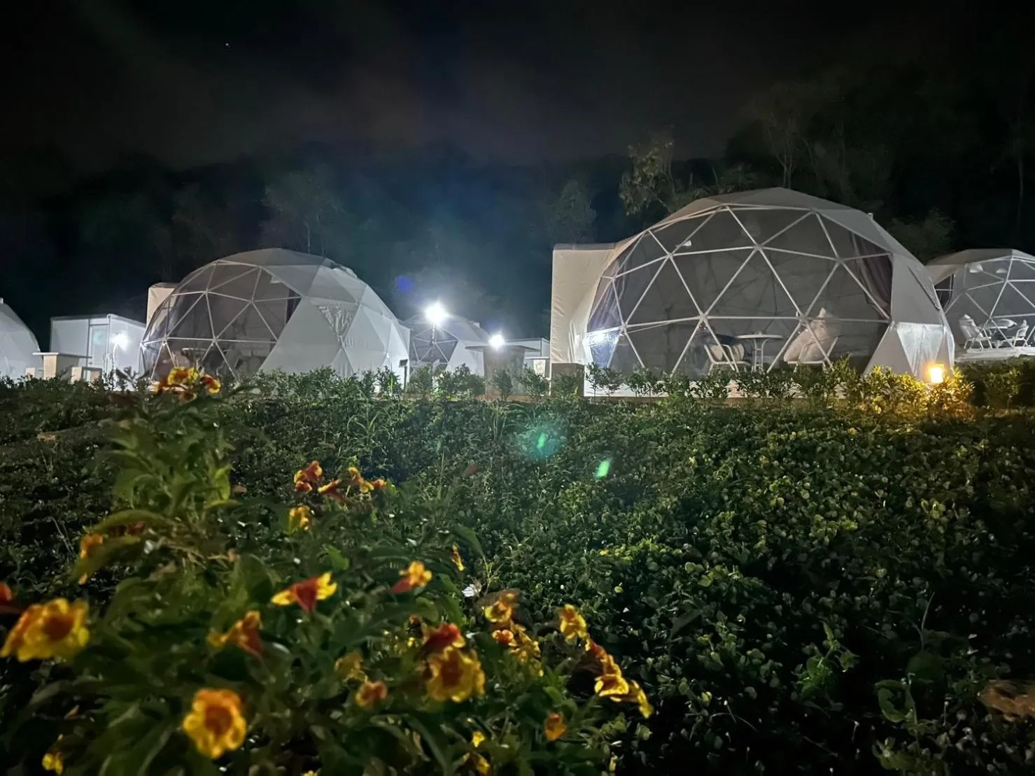 Spring in NiNo San Glamping - Pak Chong