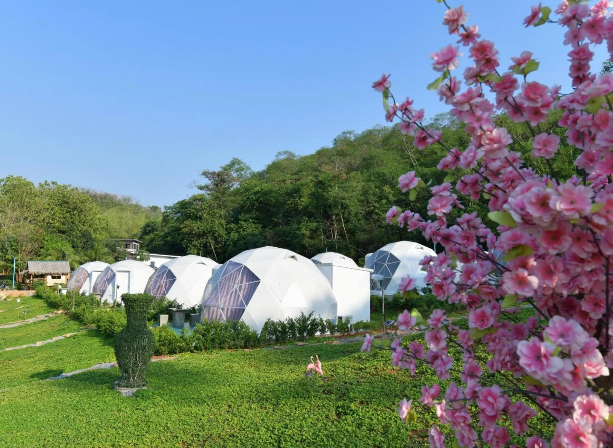 Day in NiNo San Glamping - Pak Chong