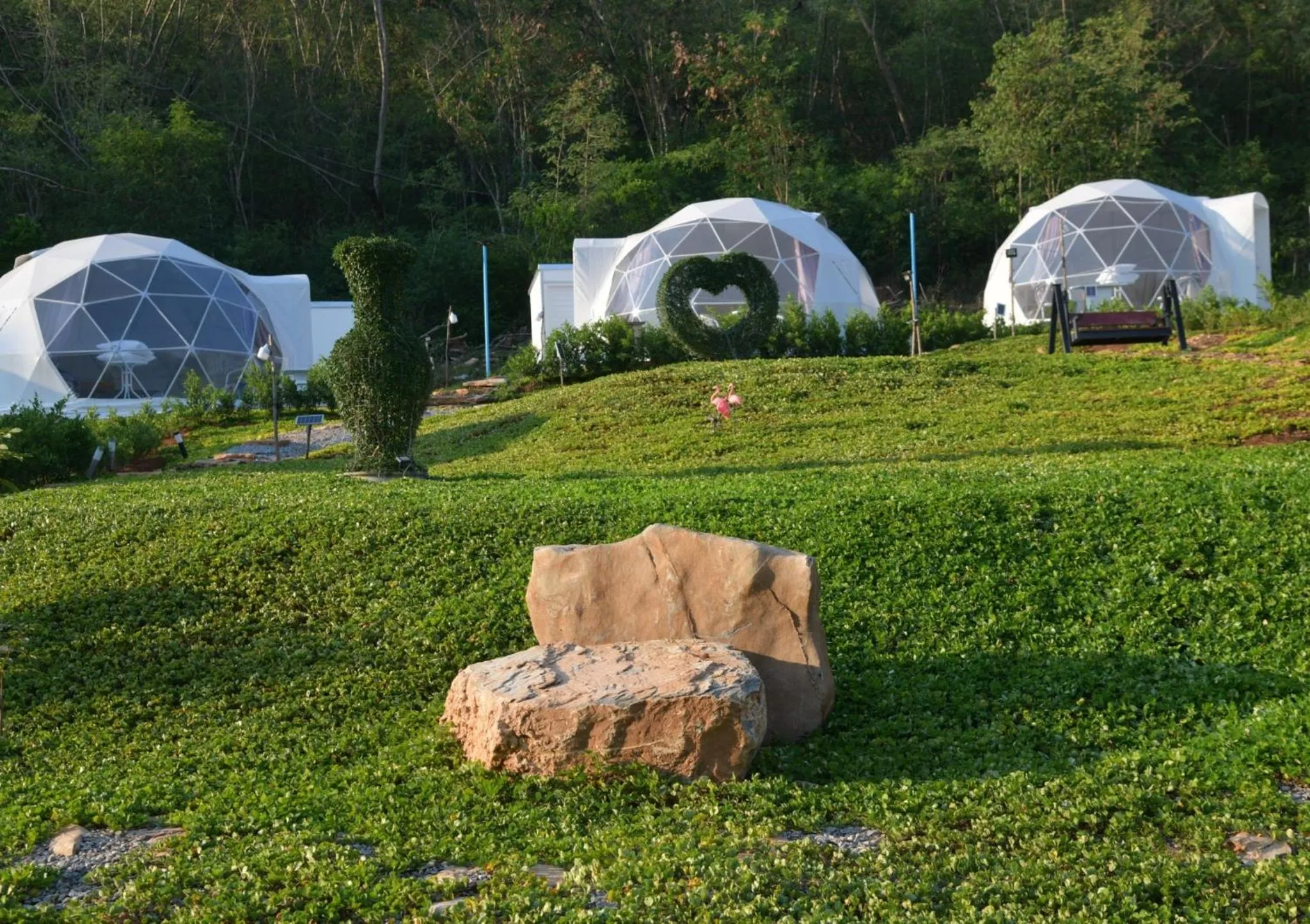 Day in NiNo San Glamping - Pak Chong