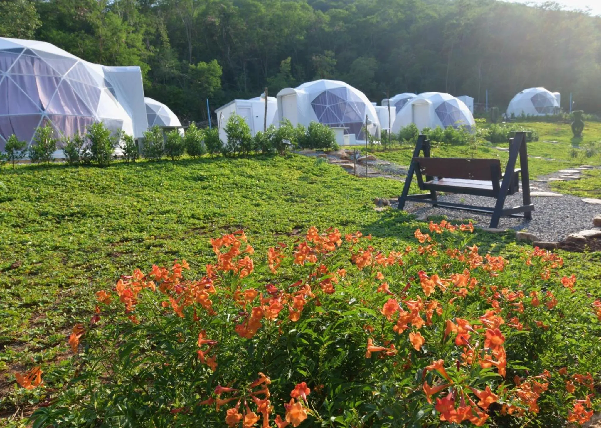 Day in NiNo San Glamping - Pak Chong