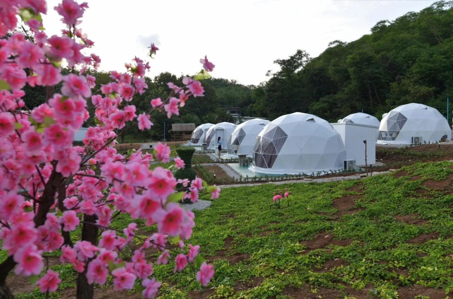 Day in NiNo San Glamping - Pak Chong