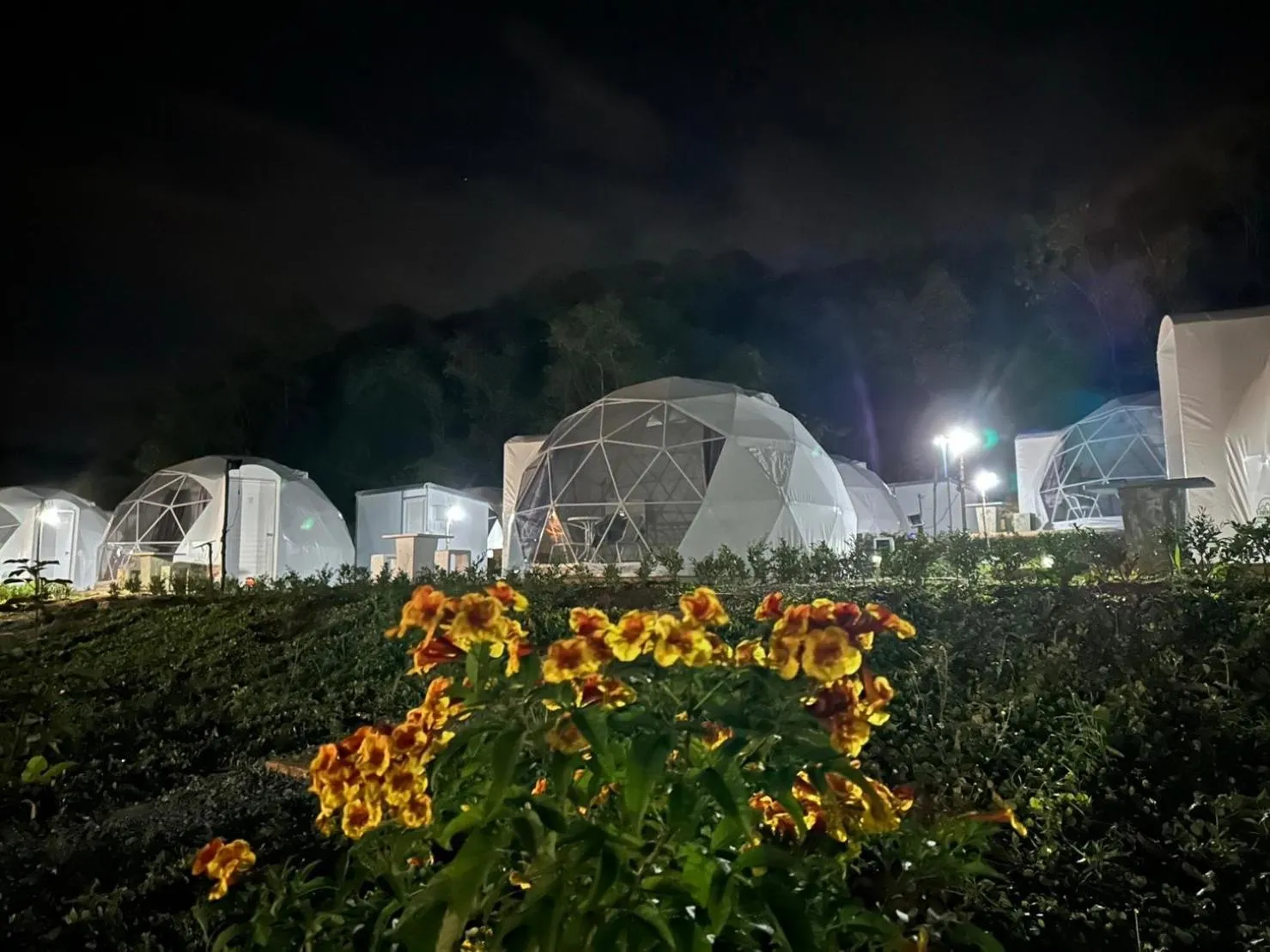 Spring in NiNo San Glamping - Pak Chong