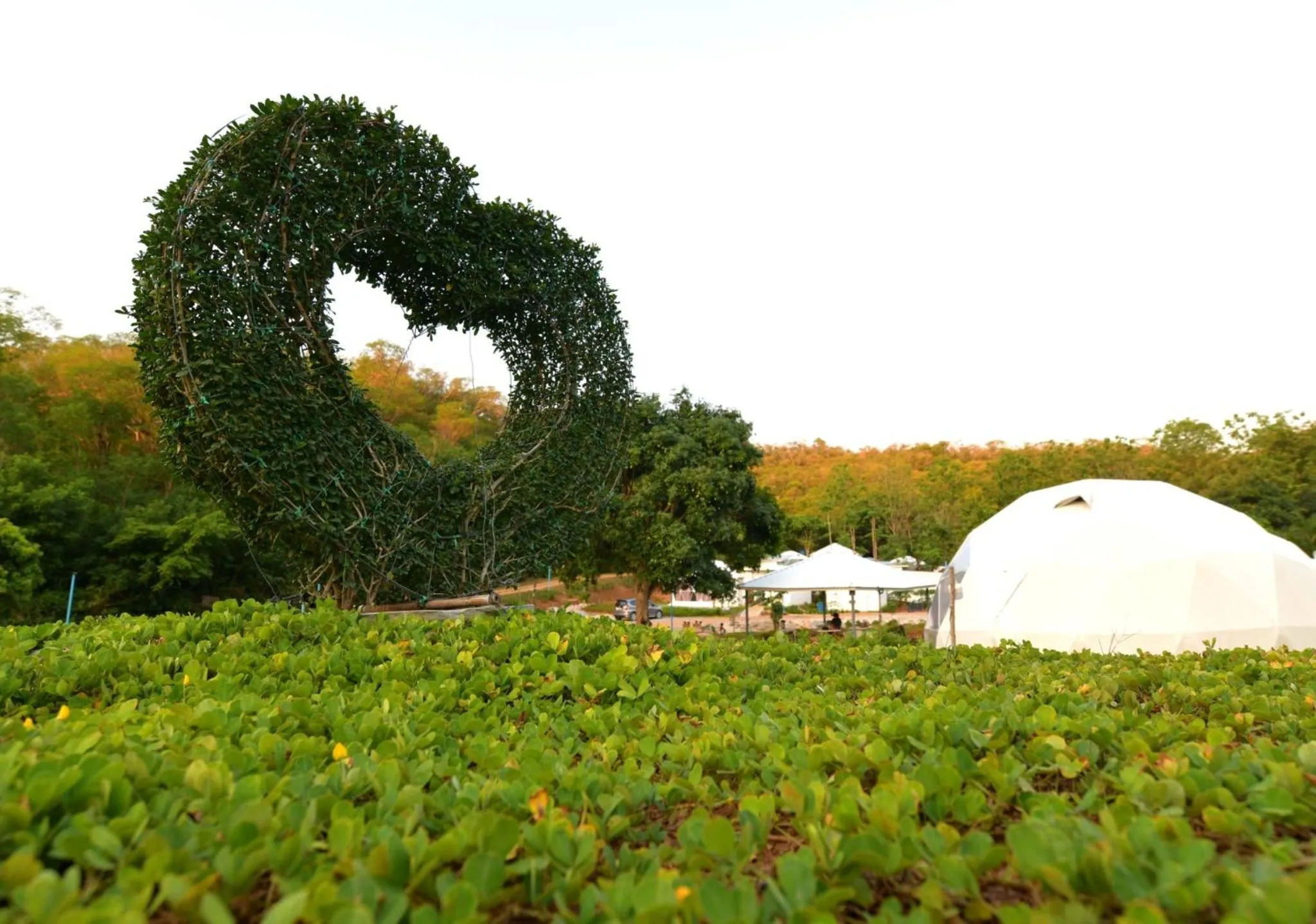 Garden in NiNo San Glamping - Pak Chong