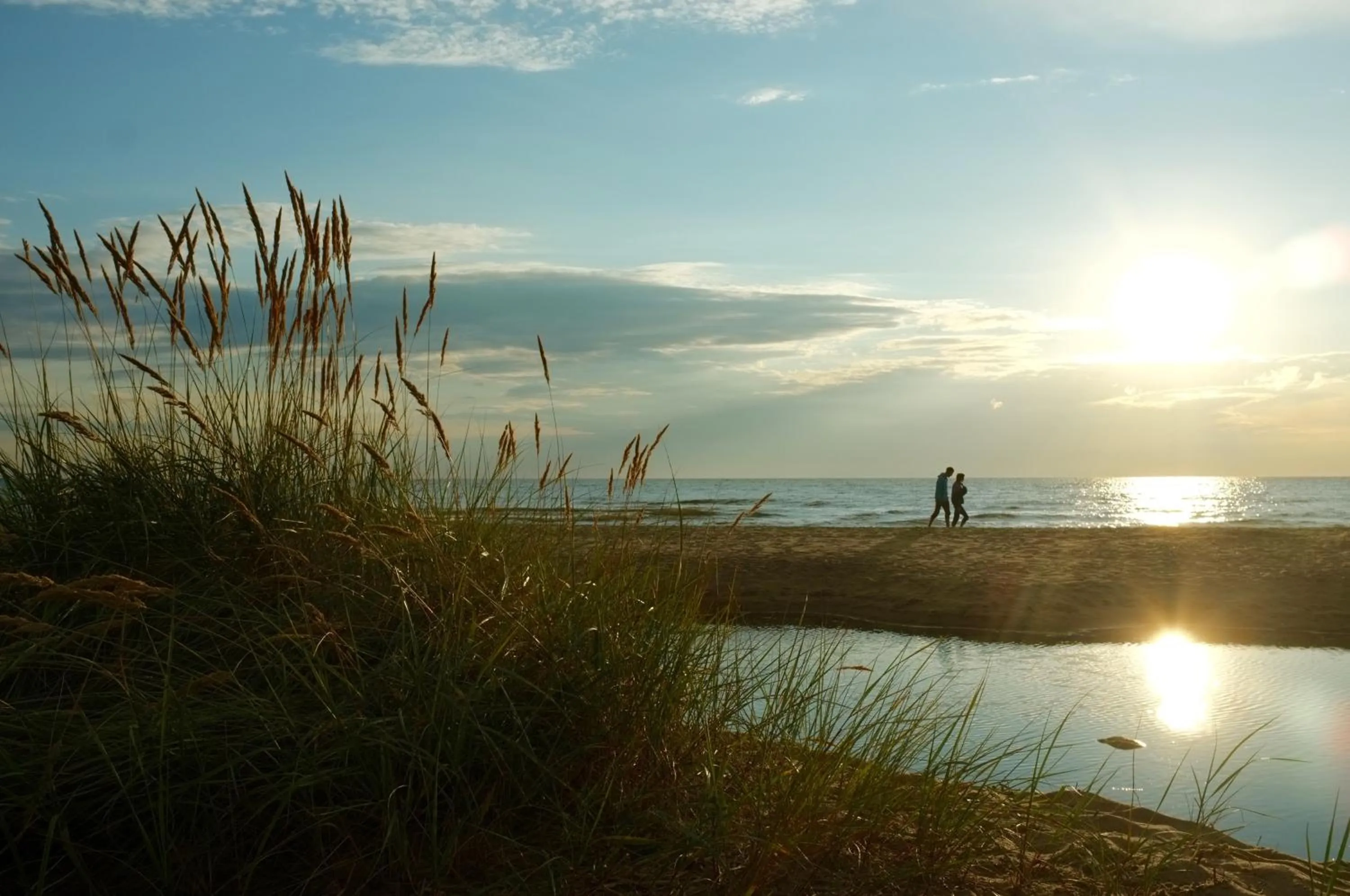 Natural landscape in Saules Club Apart Hotel