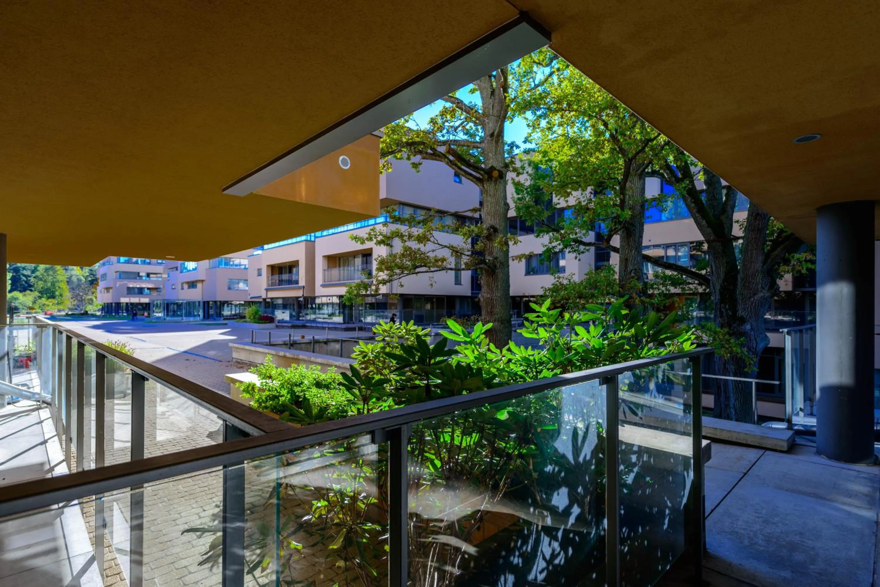 Day in Saules Club Apart Hotel