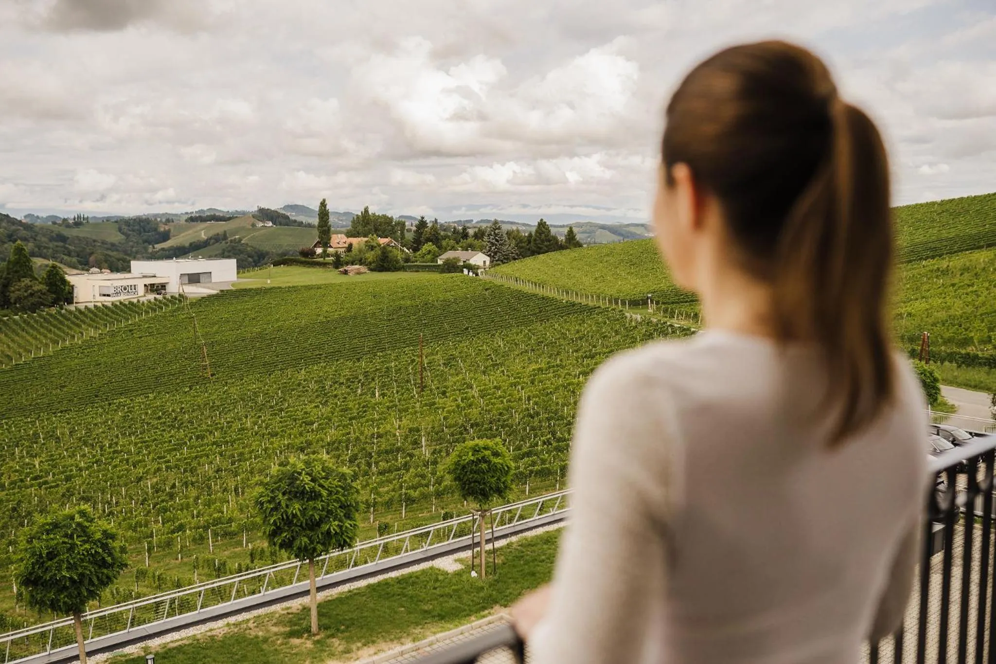 Property building in Weinrefugium Brolli
