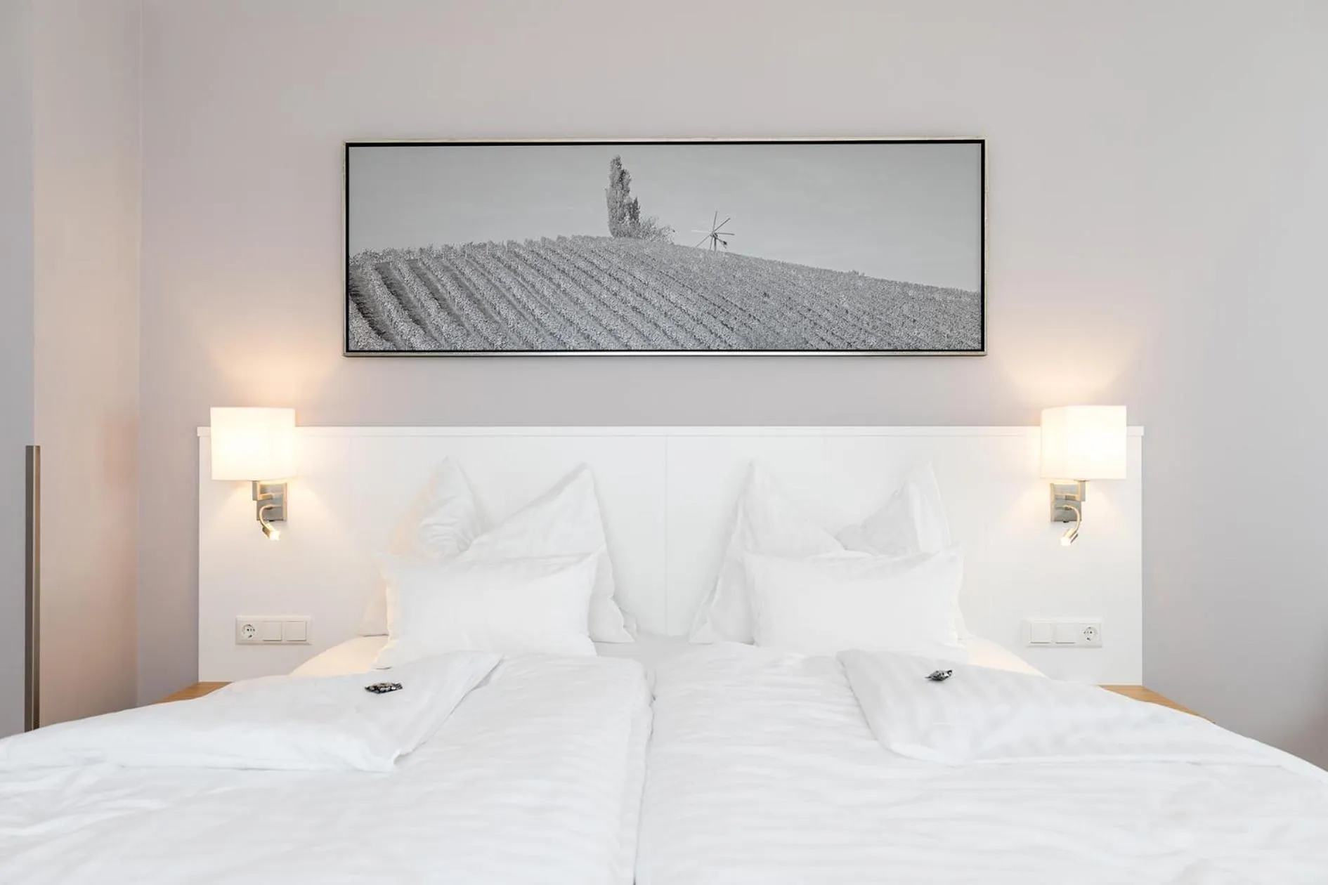 Comfort Single Room with Balcony in Weinrefugium Brolli