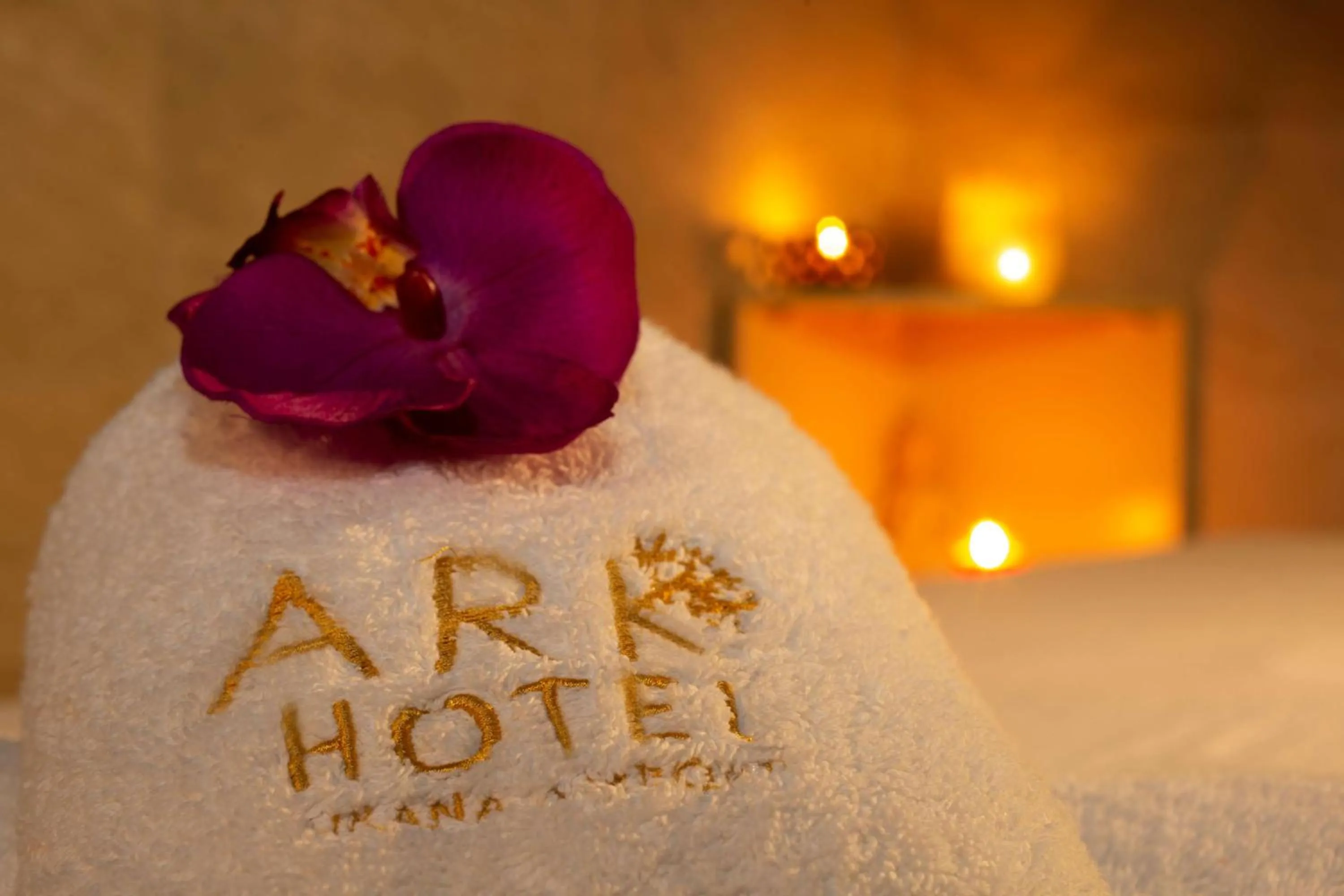 Sports, Bed in Best Western Premier Ark Hotel