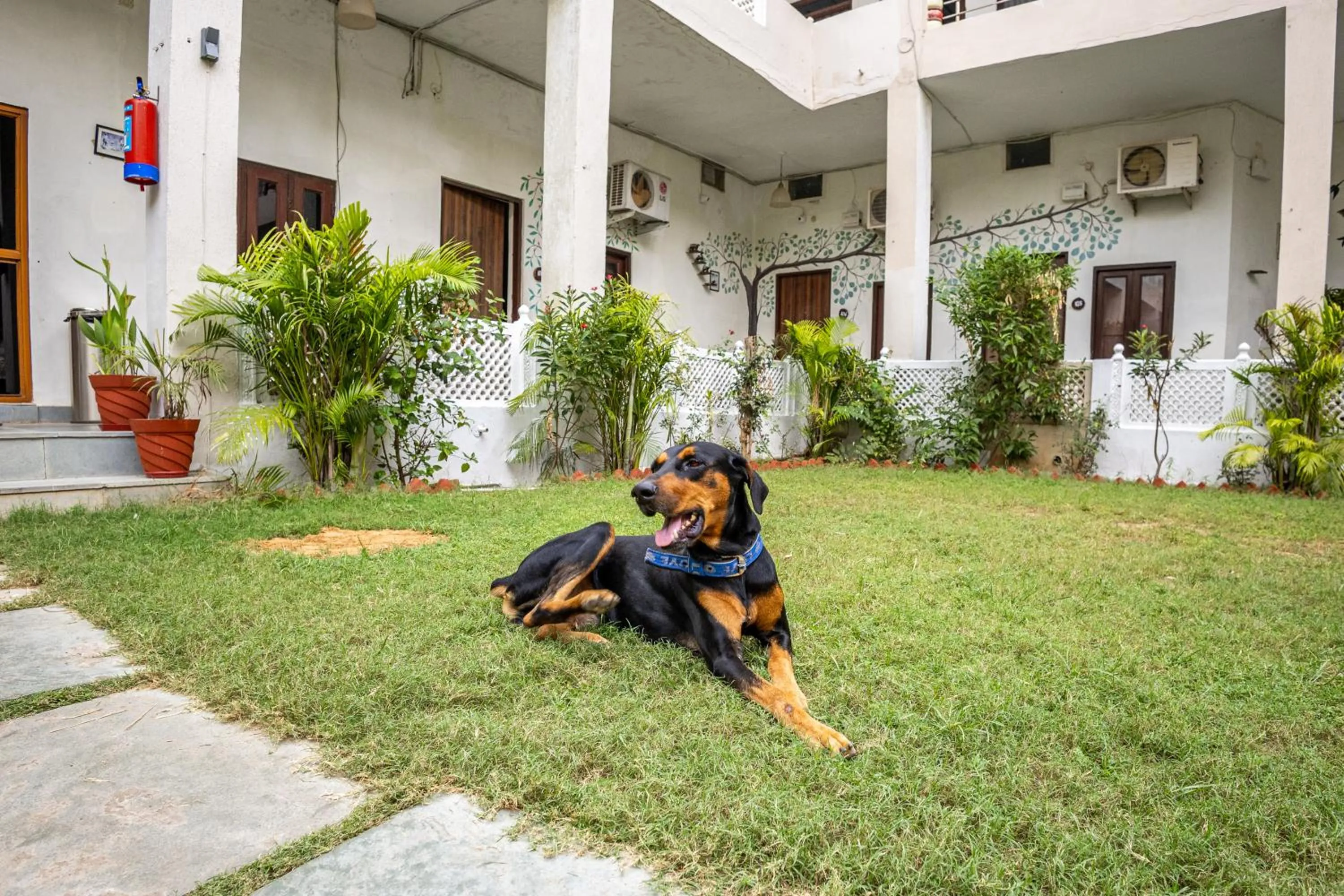 Property building in Ranthambore Resort