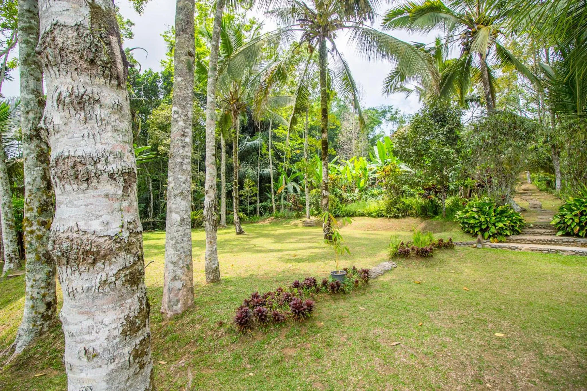 Natural landscape in Pesona Bali Ecolodge by AGATA