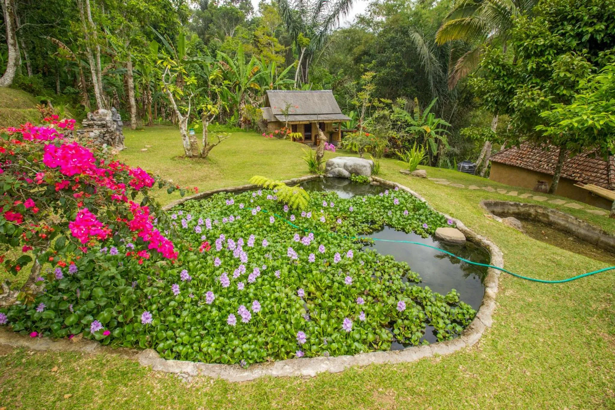 Day in Pesona Bali Ecolodge by AGATA