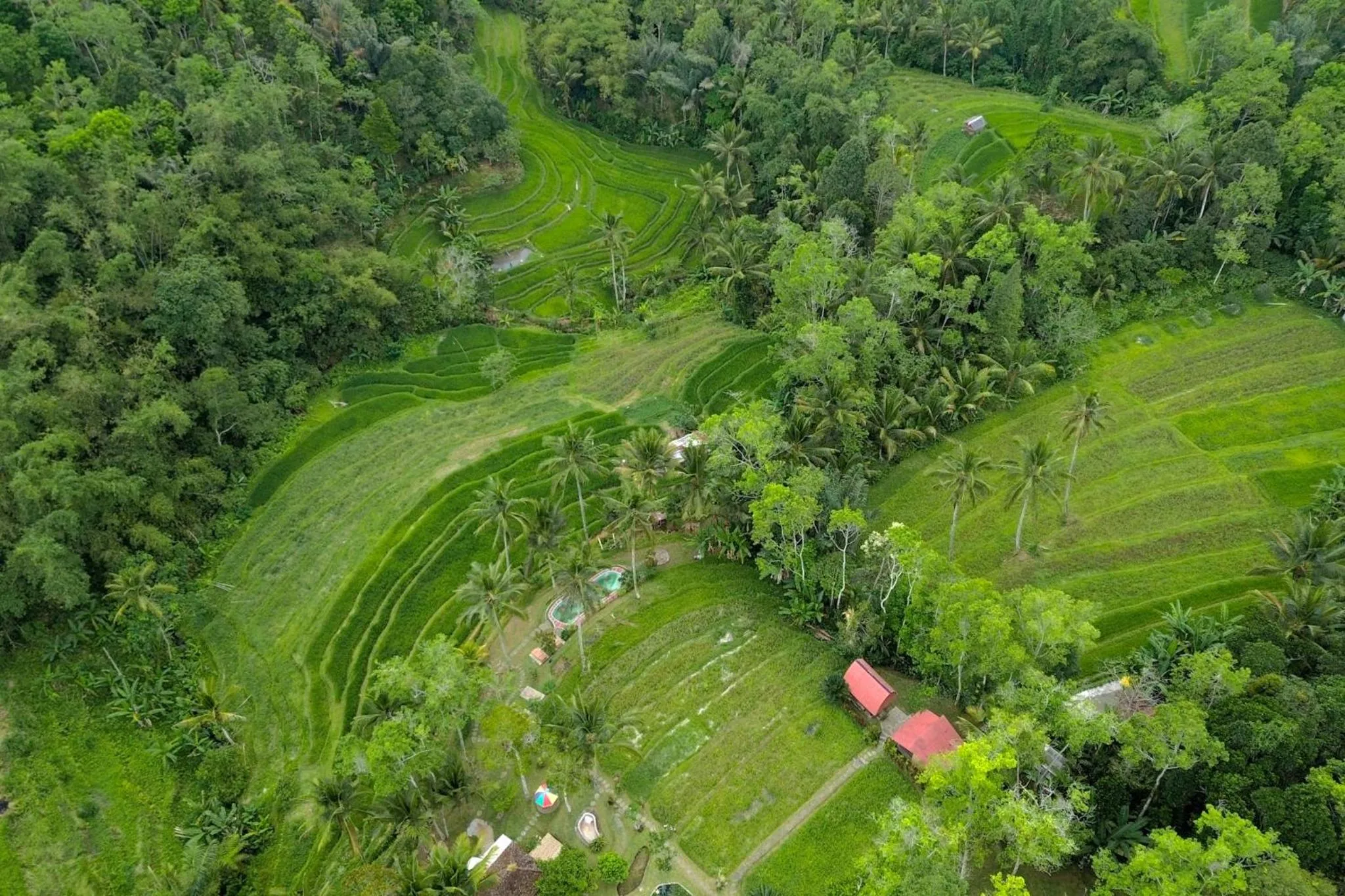 Spring in Pesona Bali Ecolodge by AGATA