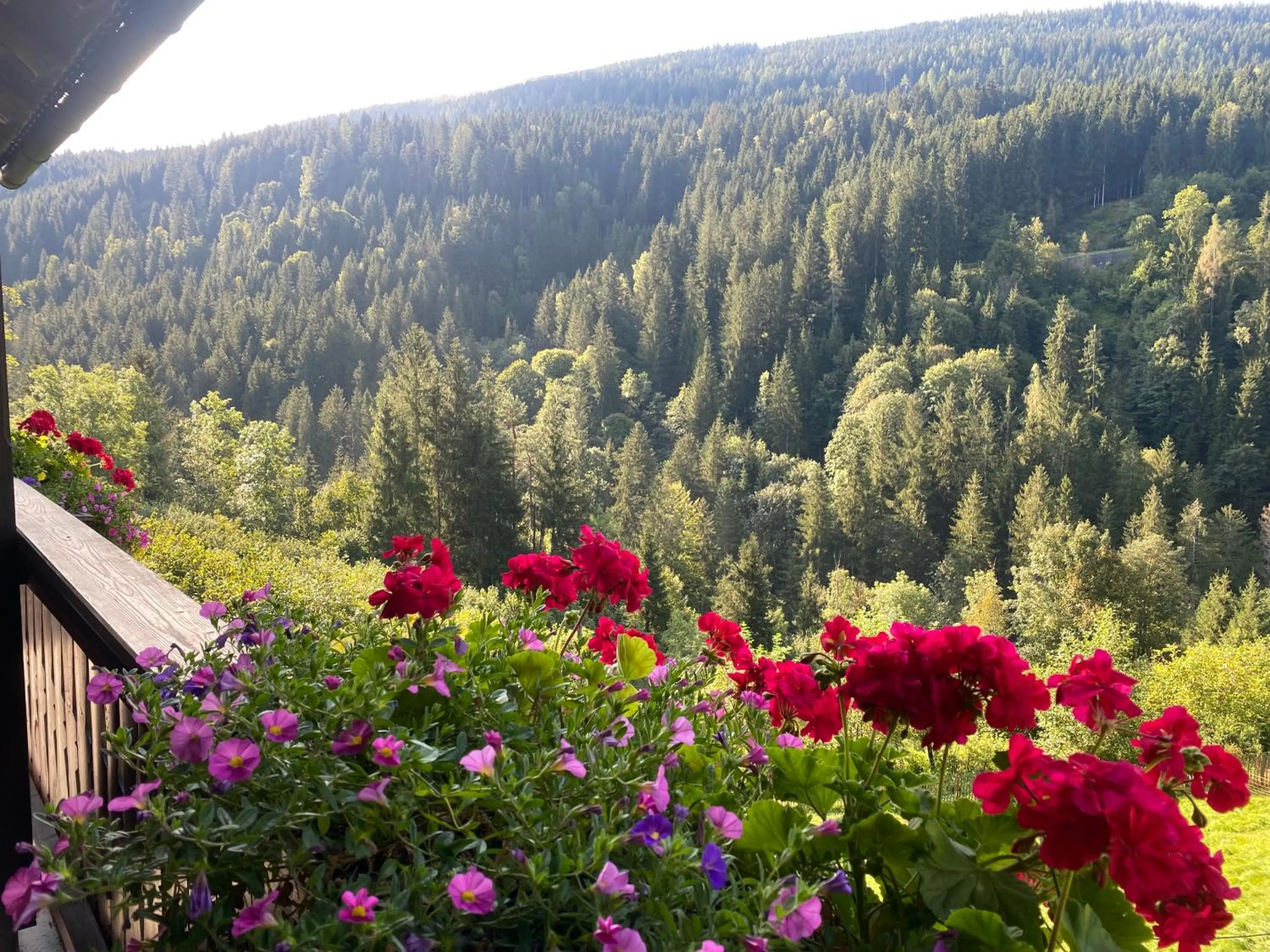 View (from property/room) in Pension Gasthof Arriach