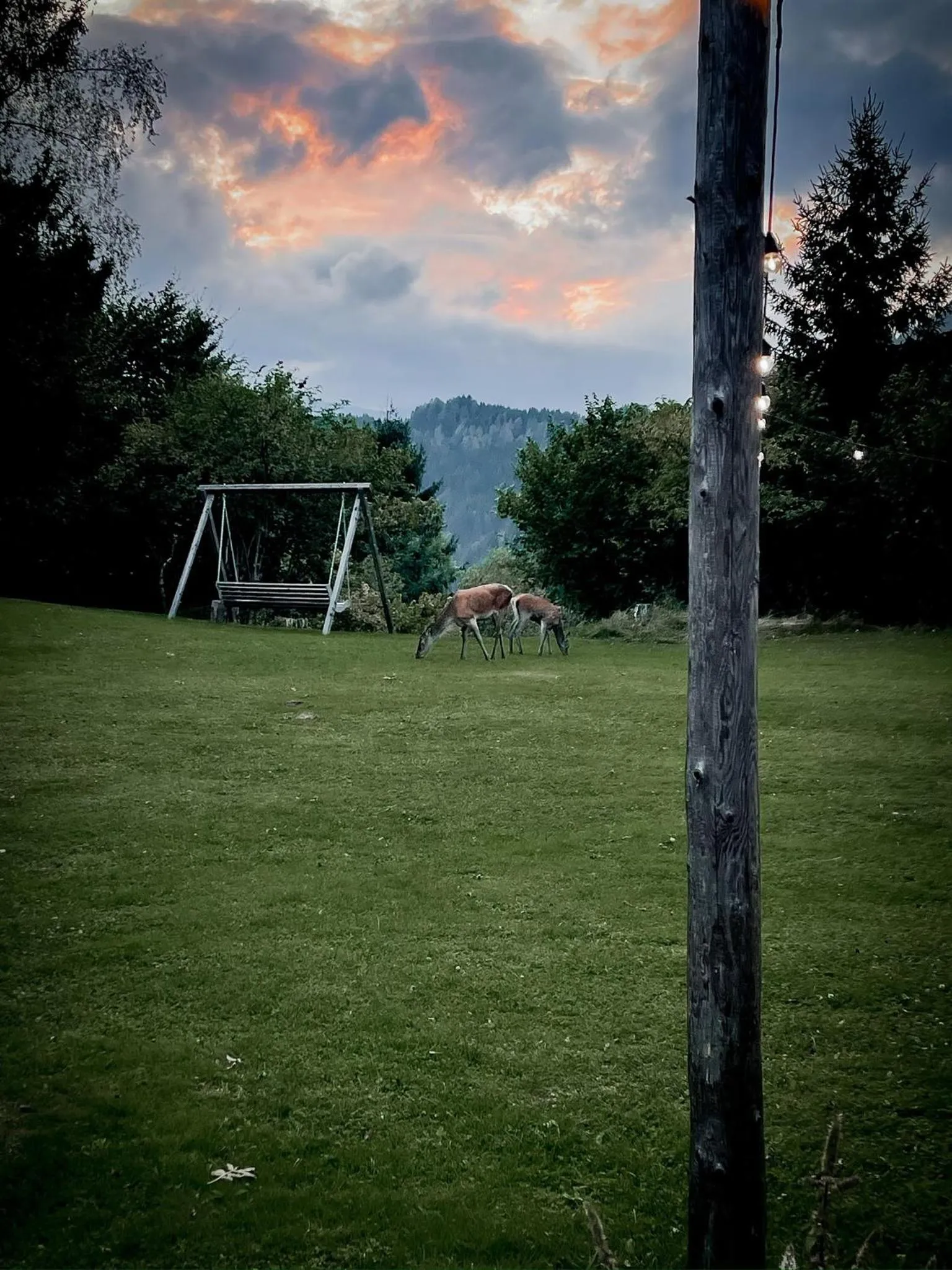 View (from property/room) in Pension Gasthof Arriach