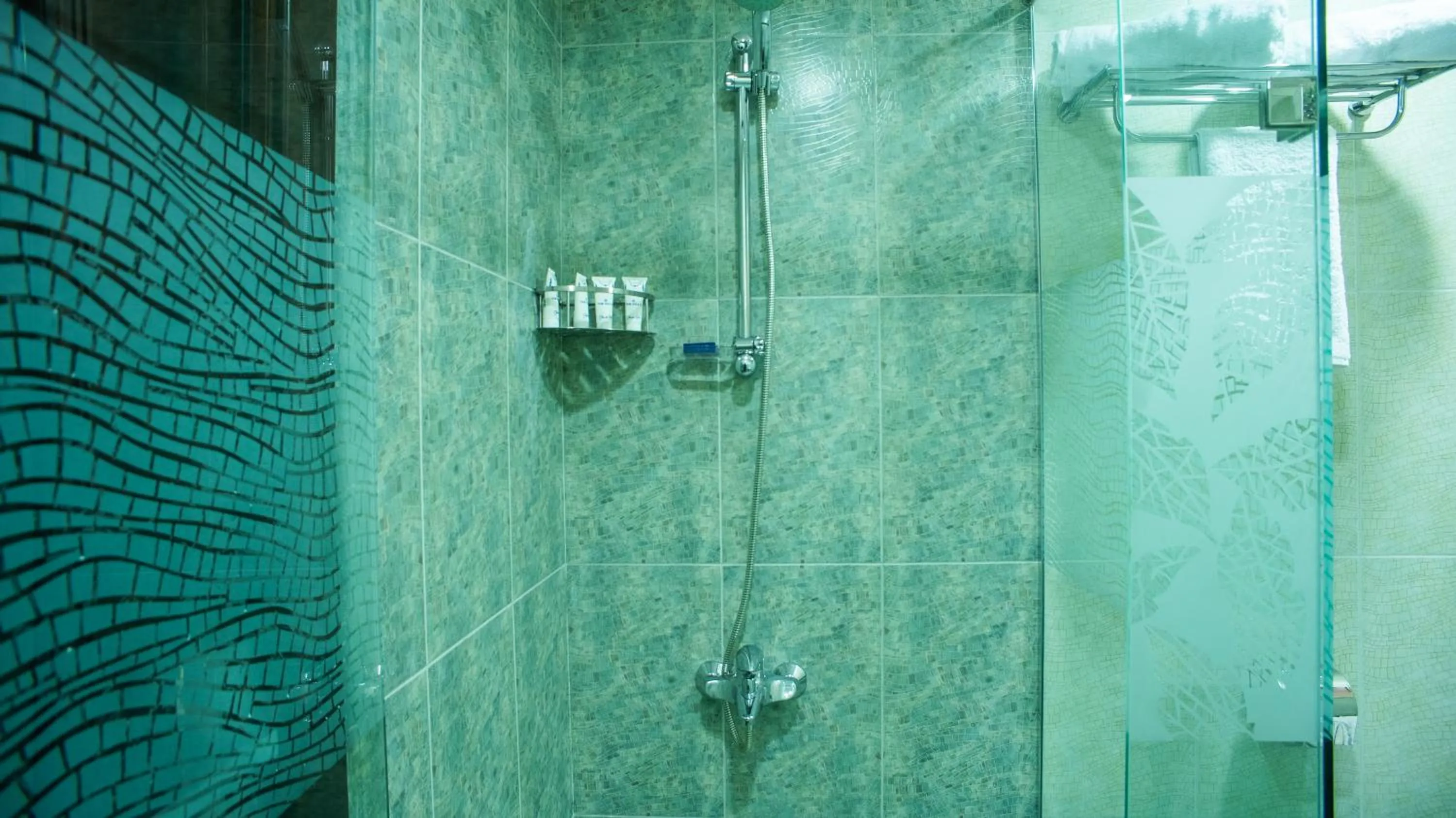 Shower in The Villa 604 Powered by look