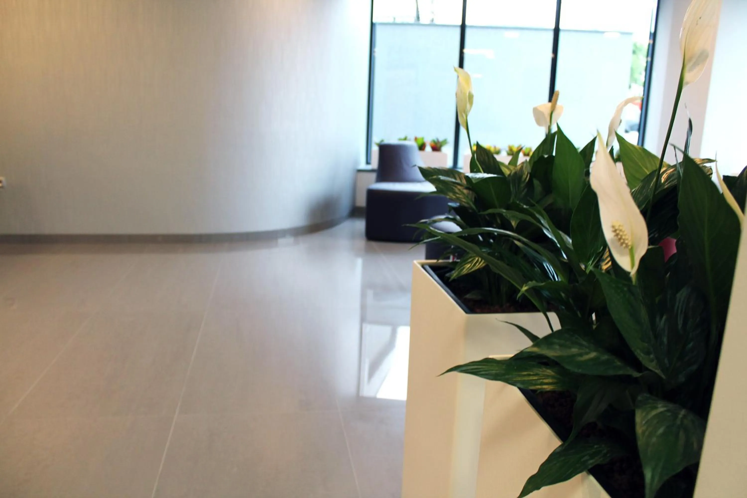 Lobby or reception in Hotel Tempo