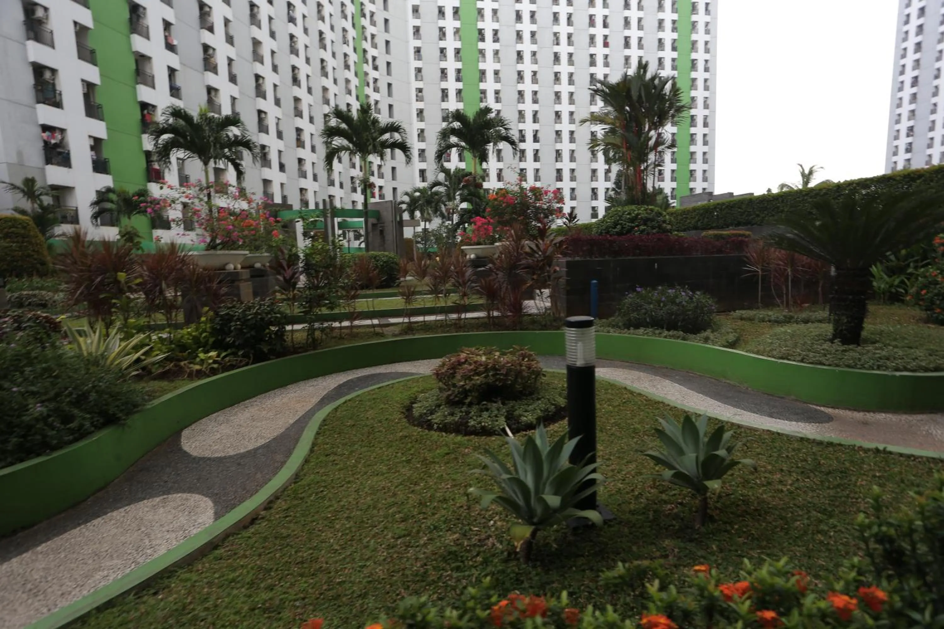 Other in Collection O 93142 Lion Rooms