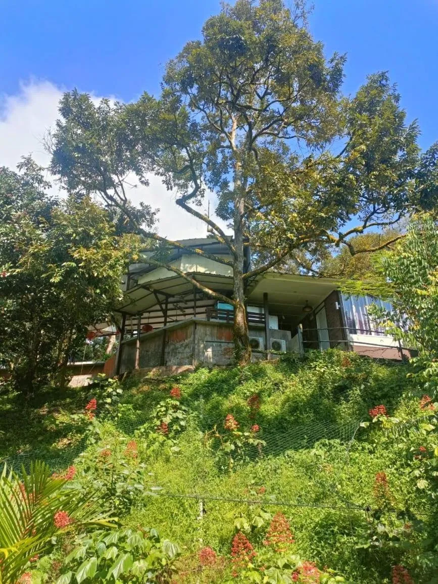 Lobby or reception in Collection O 90858 Bentong Wellness Homestay Midland