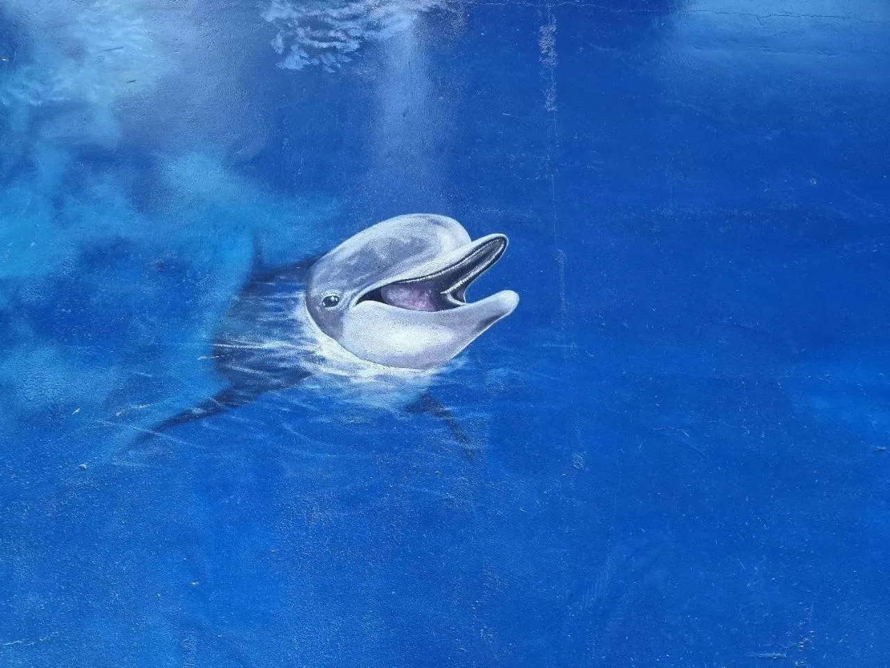 Animals in Hotel VOS