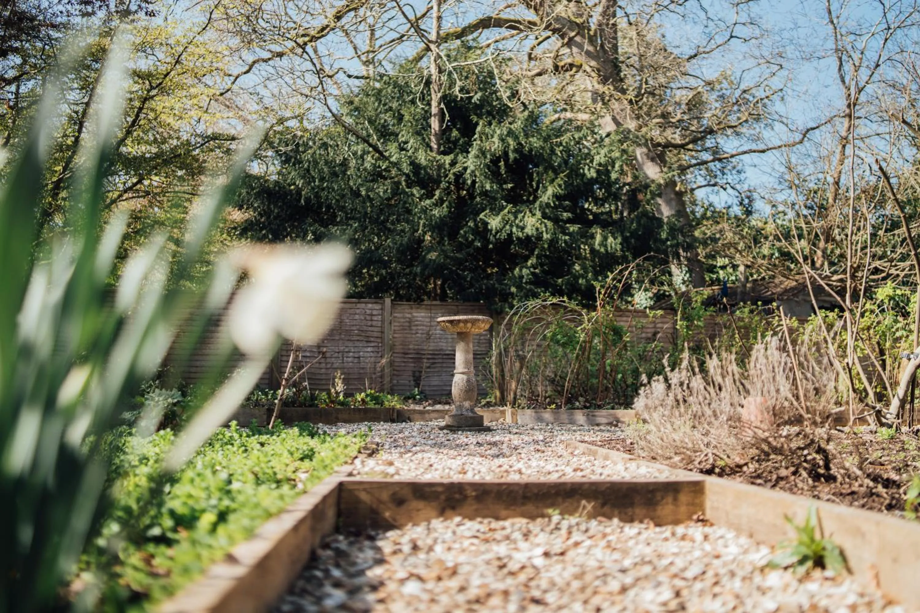 Garden in The Farthings Somerset
