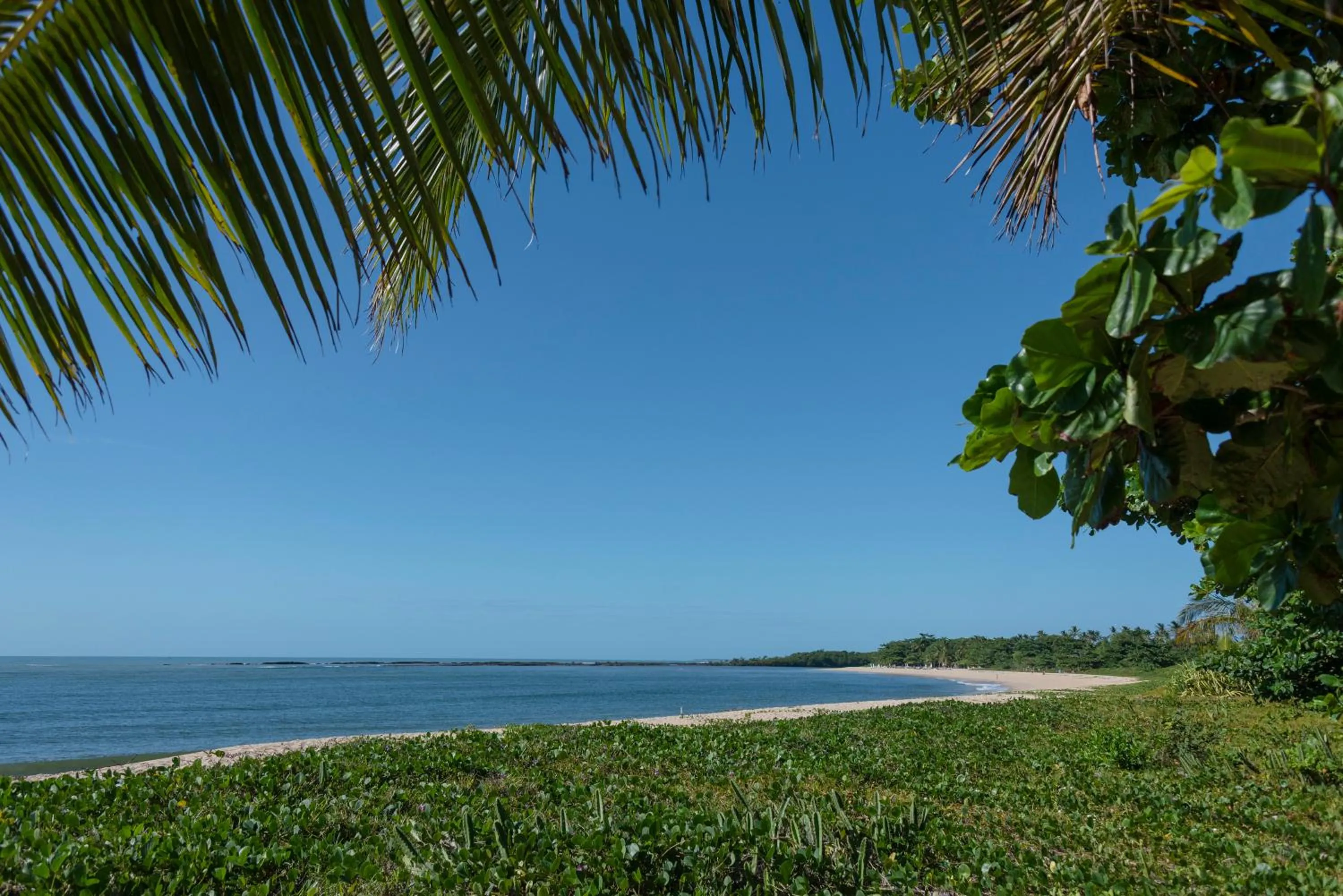 Natural landscape in Campo Bahia Hotel Villas Spa