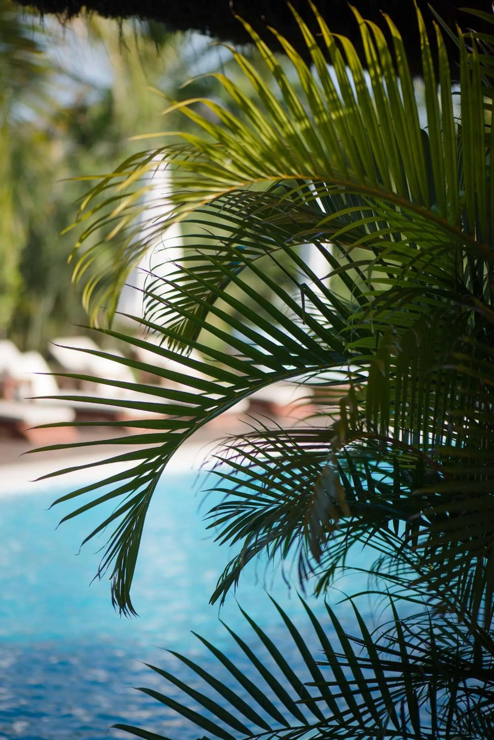 Swimming pool in Campo Bahia Hotel Villas Spa