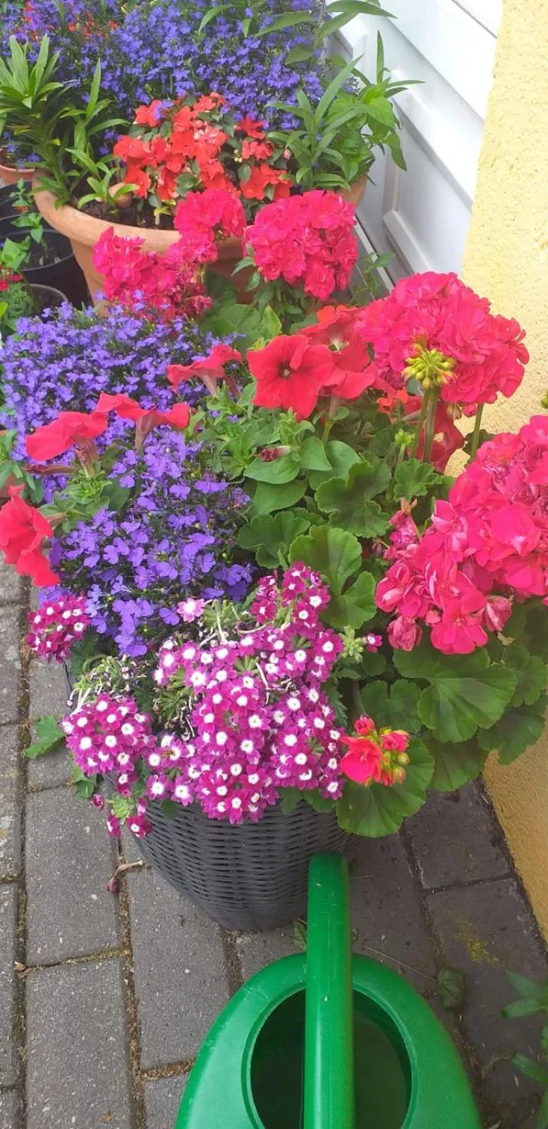 Garden in Hotel Neuses