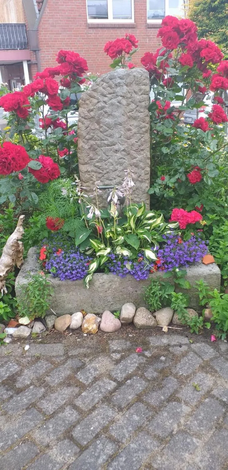 Garden in Hotel Neuses