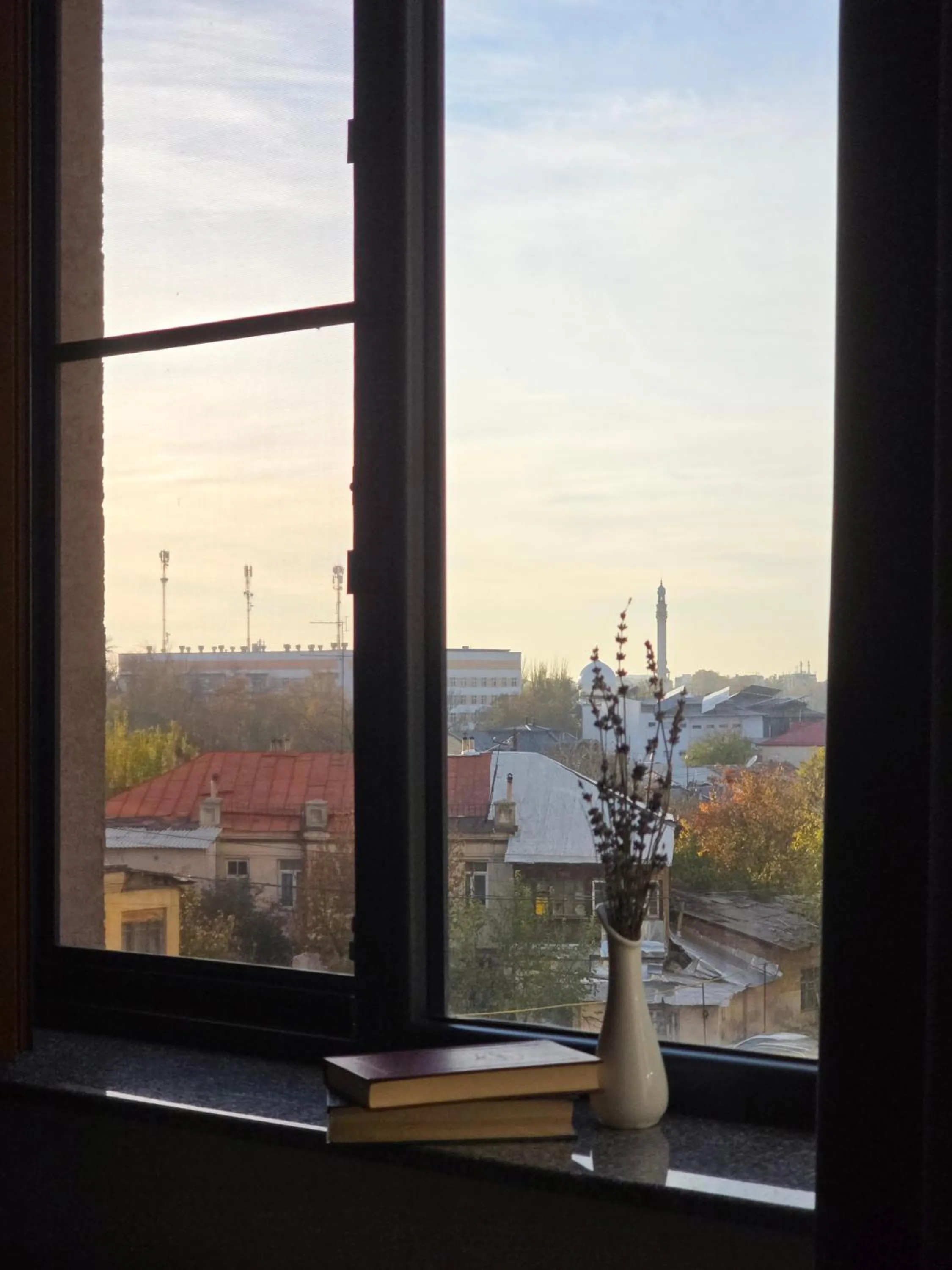 View (from property/room) in Parklane Hotel